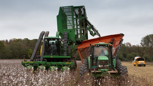 Gratis stockfoto met agbiopix, akkerland, boerderij