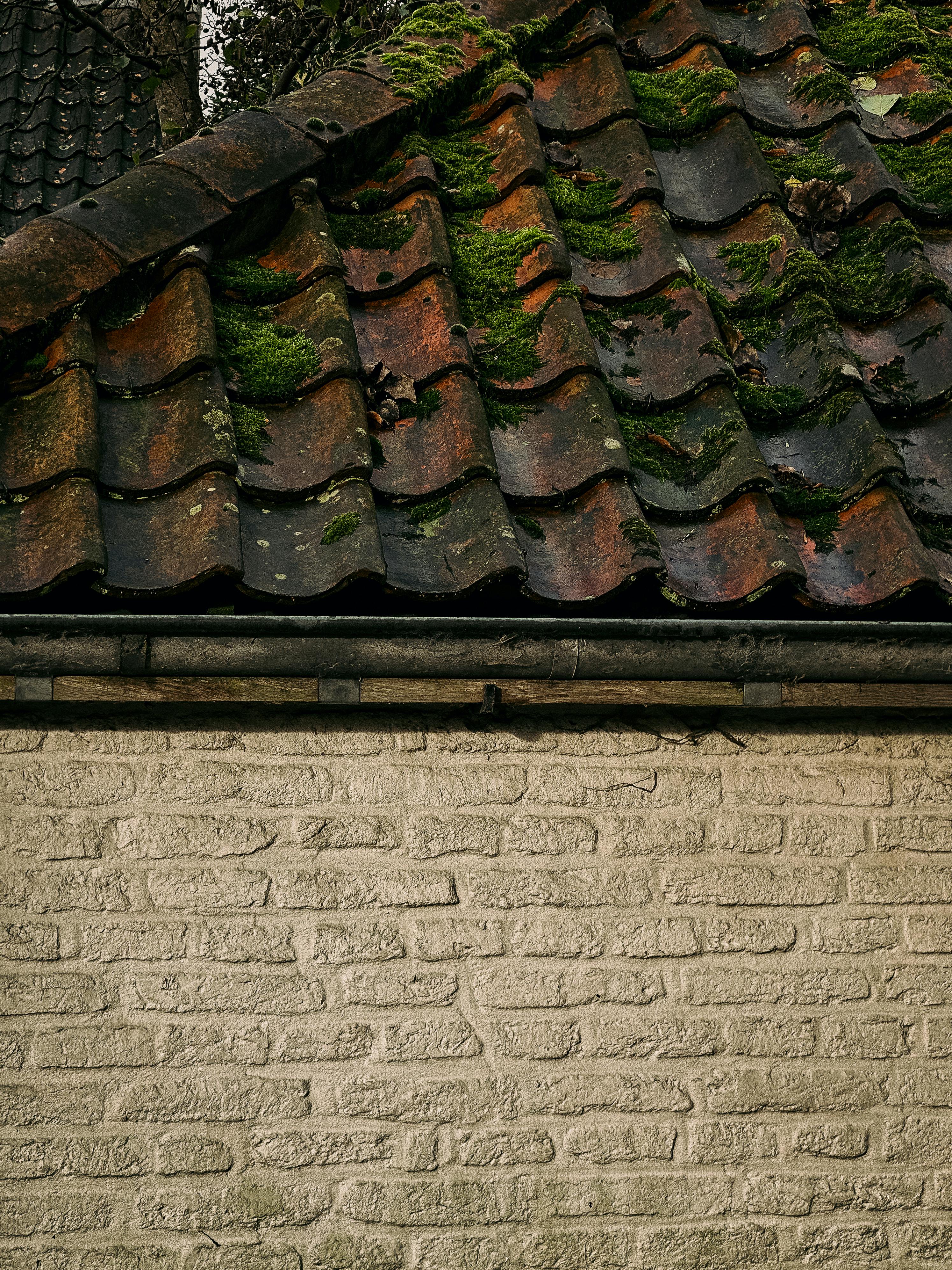 Free A rustic, moss-covered roof on a weathered brick building in Bruges, Belgium. Stock Photo