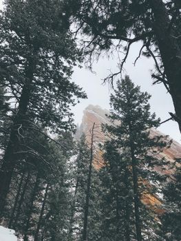 白雪皑皑的森林中，高耸的冷杉和岩石山峰令人惊叹