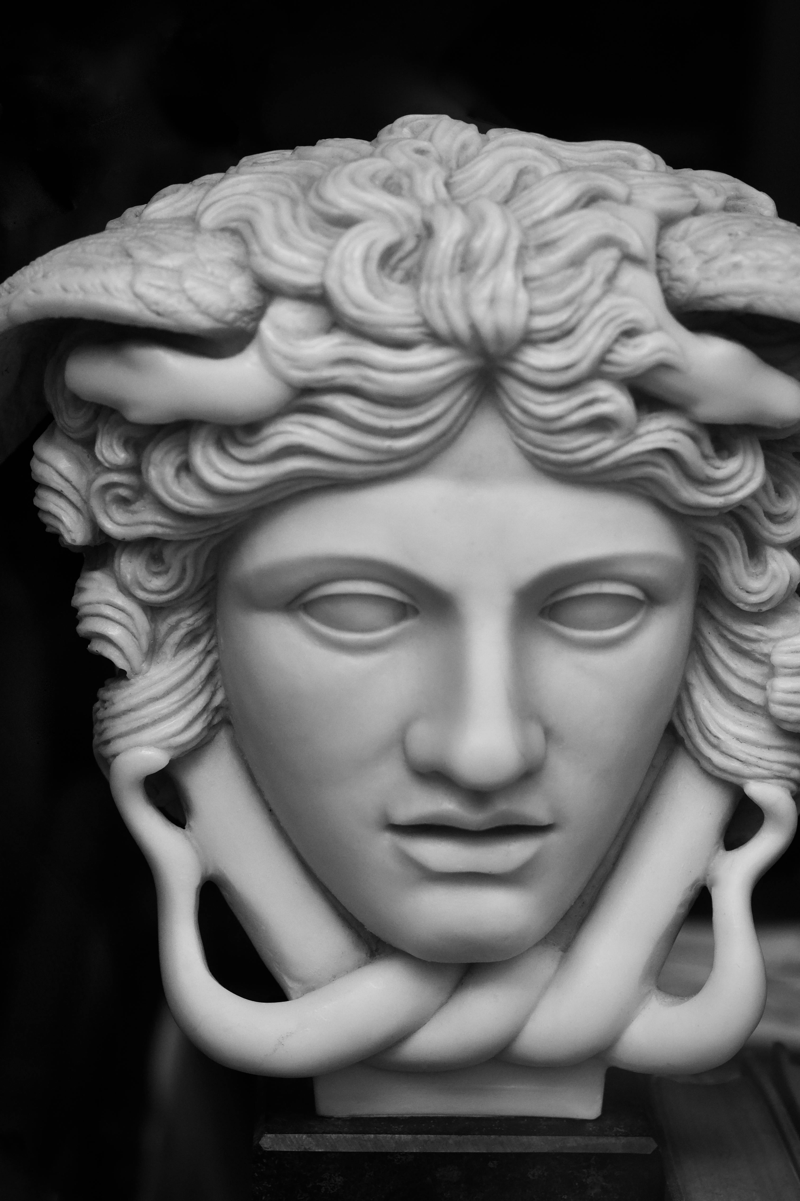 Miễn phí Ảnh đen trắng chụp một bức tượng Medusa bằng đá cẩm thạch với mái tóc hình rắn được chạm khắc tỉ mỉ. Ảnh lưu trữ