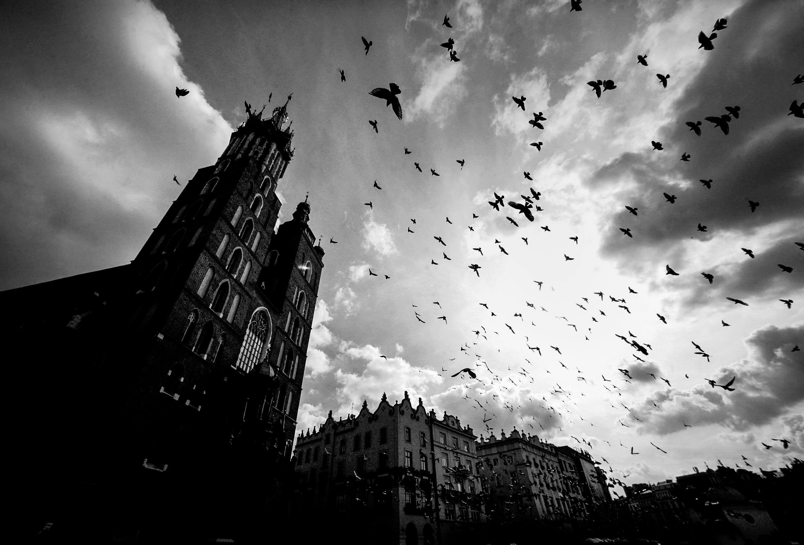 在乌云密布的天空下，一群飞鸟掠过克拉科夫圣玛丽大教堂那戏剧性的黑白轮廓