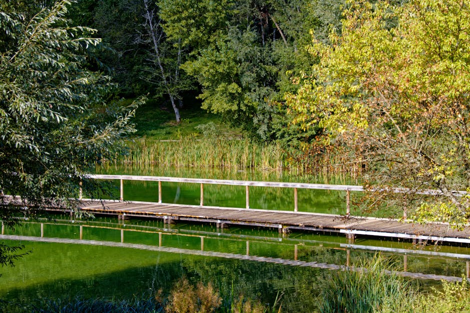 A tranquil wooden bridge spans a lush green pond surrounded by vibrant foliage.