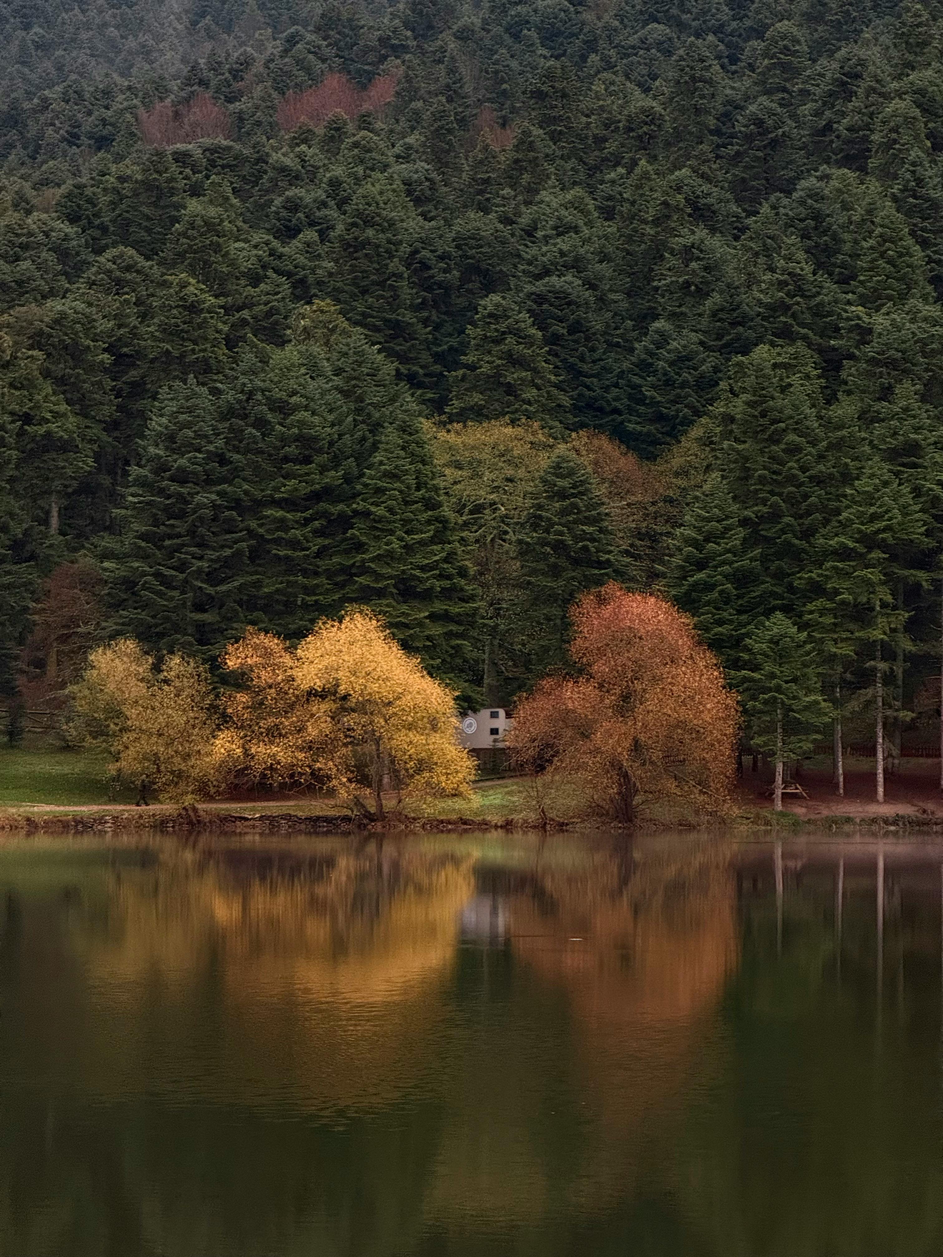 gratis Een betoverend herfstlandschap met levendig gebladerte en een sereen meer in Bolu, Turkije. Stockfoto