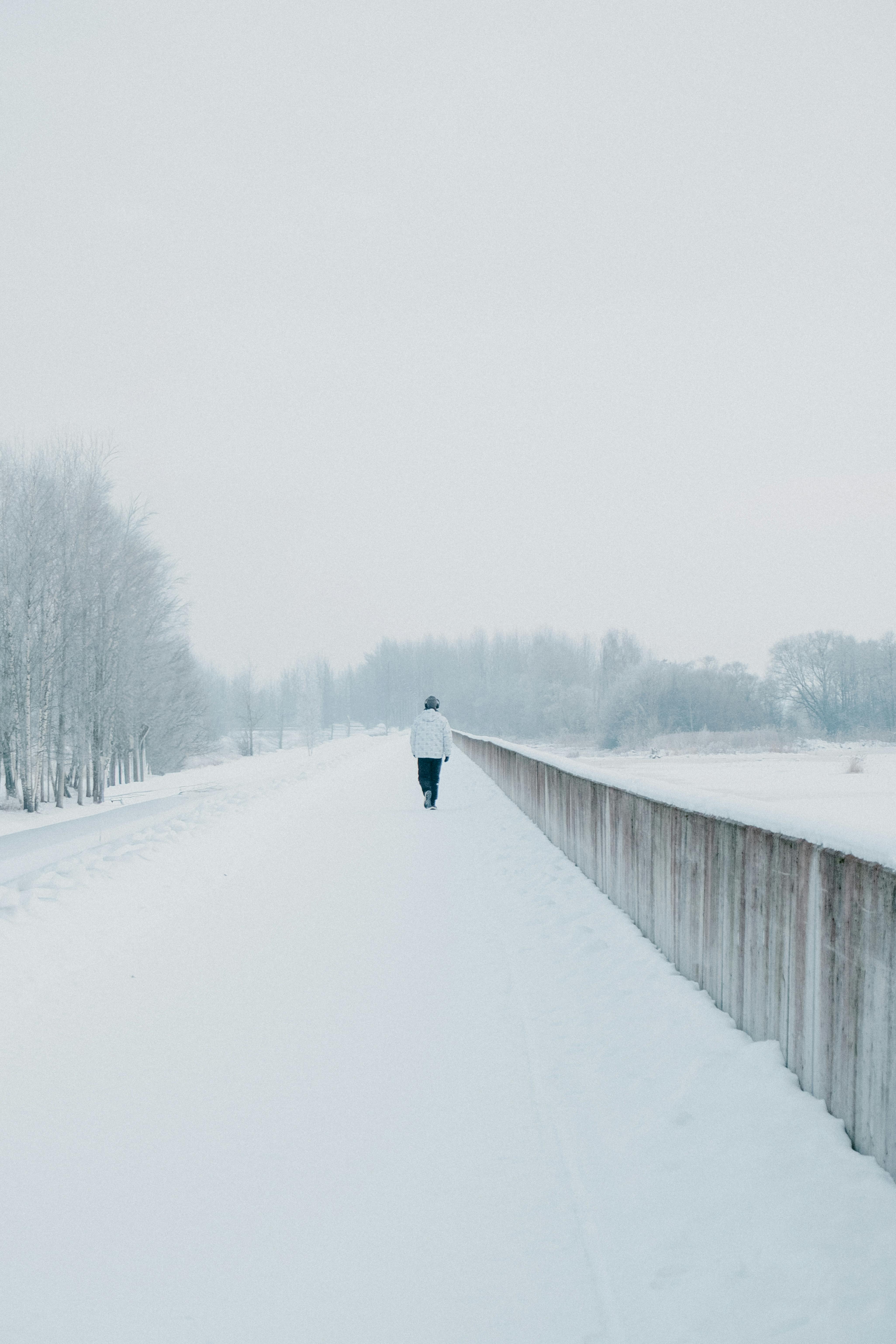 Miễn phí Ảnh lưu trữ miễn phí về bình yên, cằn cỗi, cây Ảnh lưu trữ