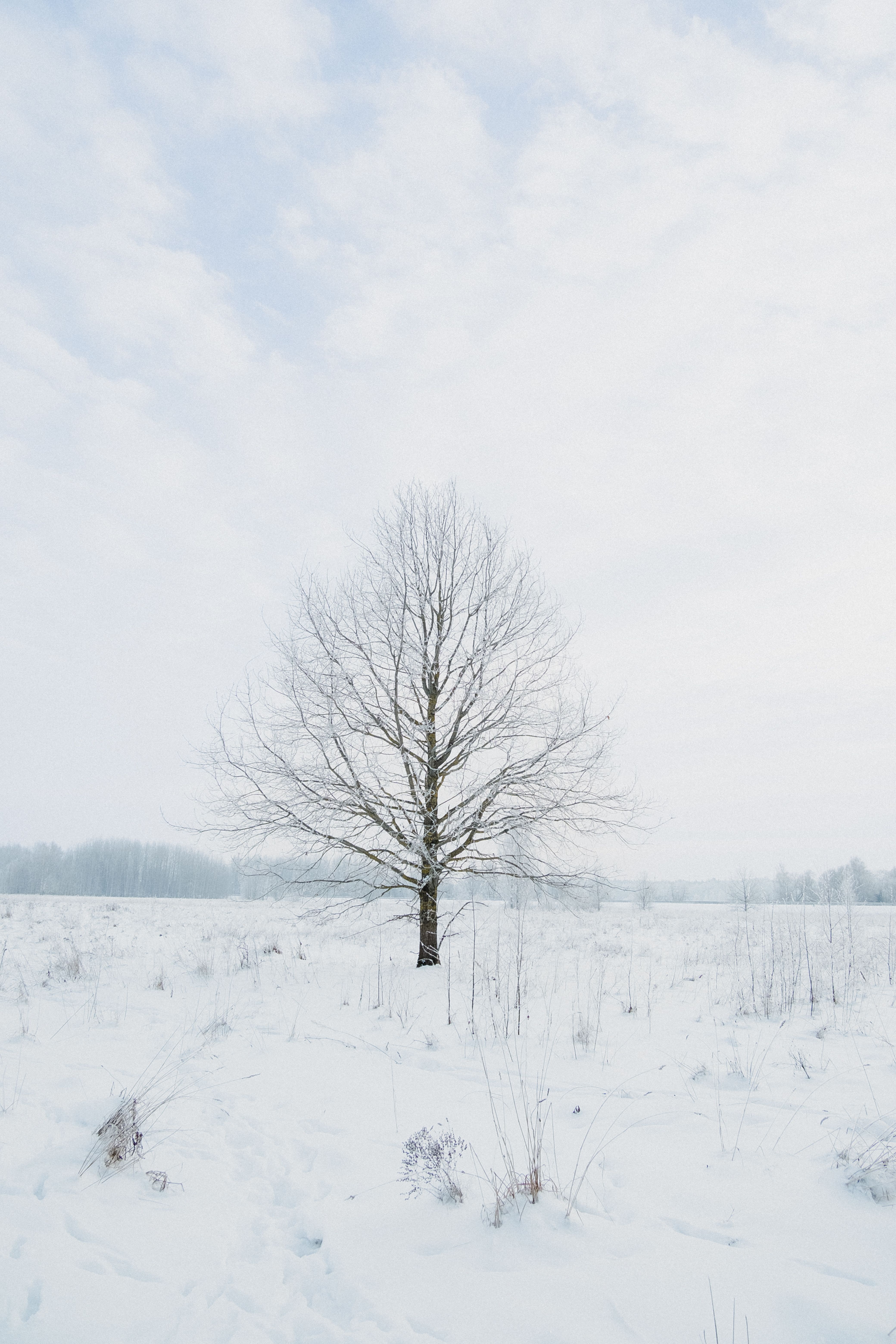 Photo by Elina Volkova on pexels