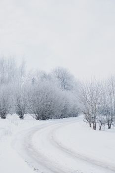 Tranquil winter scene with a snow-covered path winding through frosted trees.