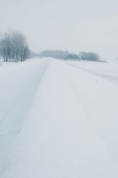 Serene winter scene with snow-covered road and frosty trees lining the side.