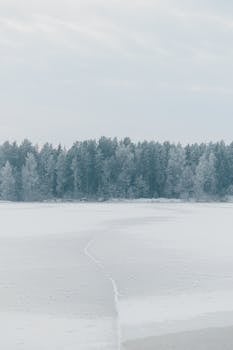 Serene winter landscape with snow-covered forest and frozen lake.