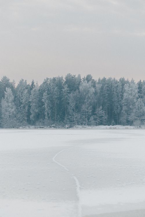 Free Tranquil winter scene showcasing a snow-covered frozen lake and frosted evergreen forest. Stock Photo