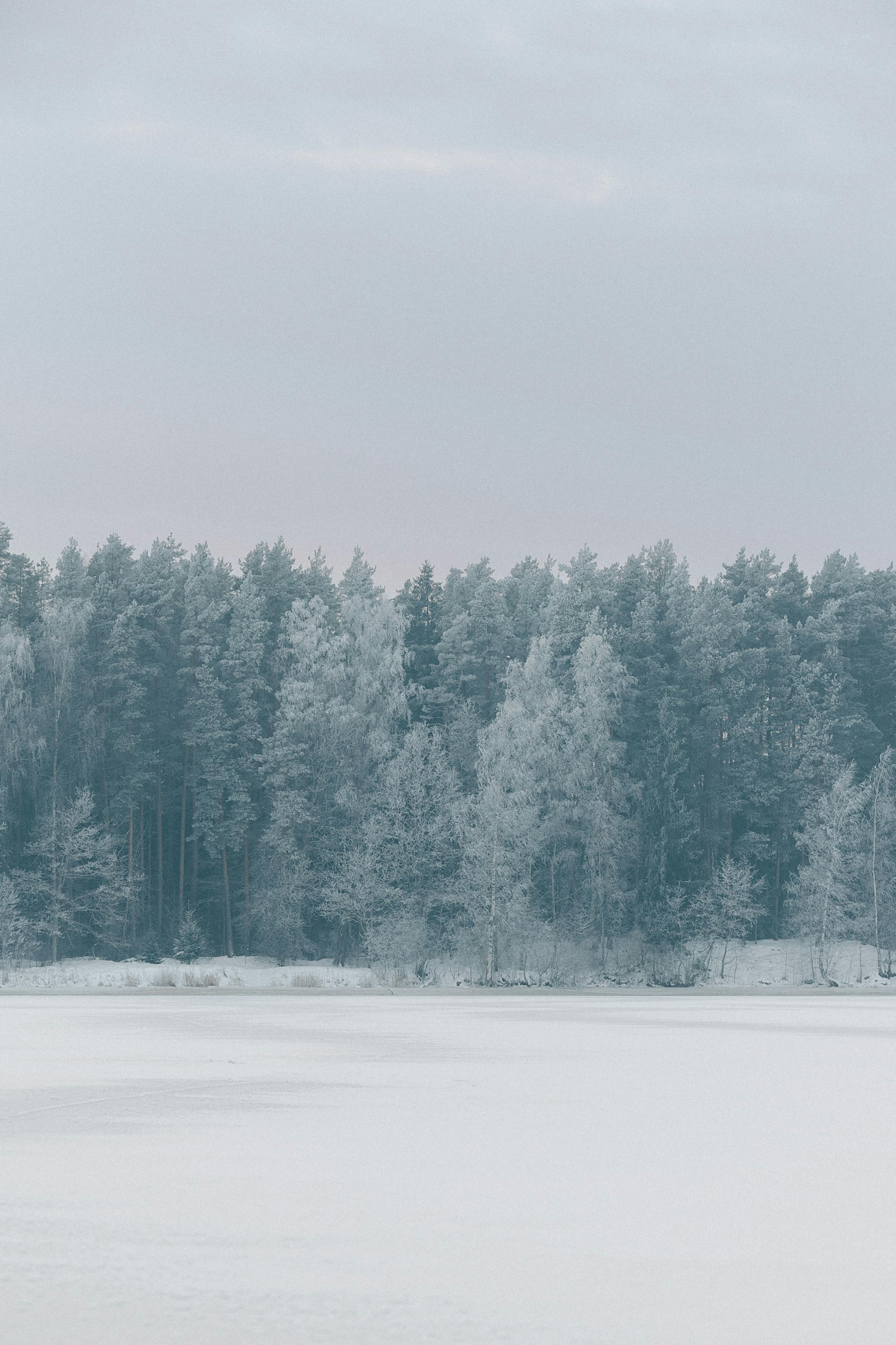 Безкоштовне стокове фото на тему «атмосферний, безтурботний, білий» стокове фото