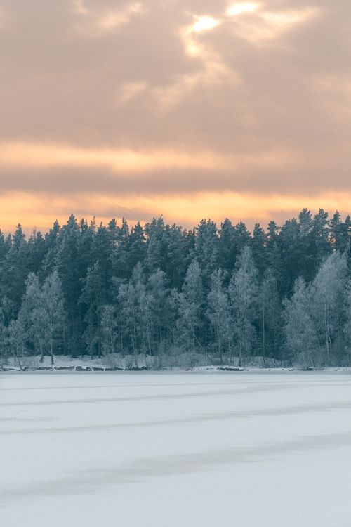 Free Peaceful winter scene with snowy forest and colorful sunset sky. Stock Photo