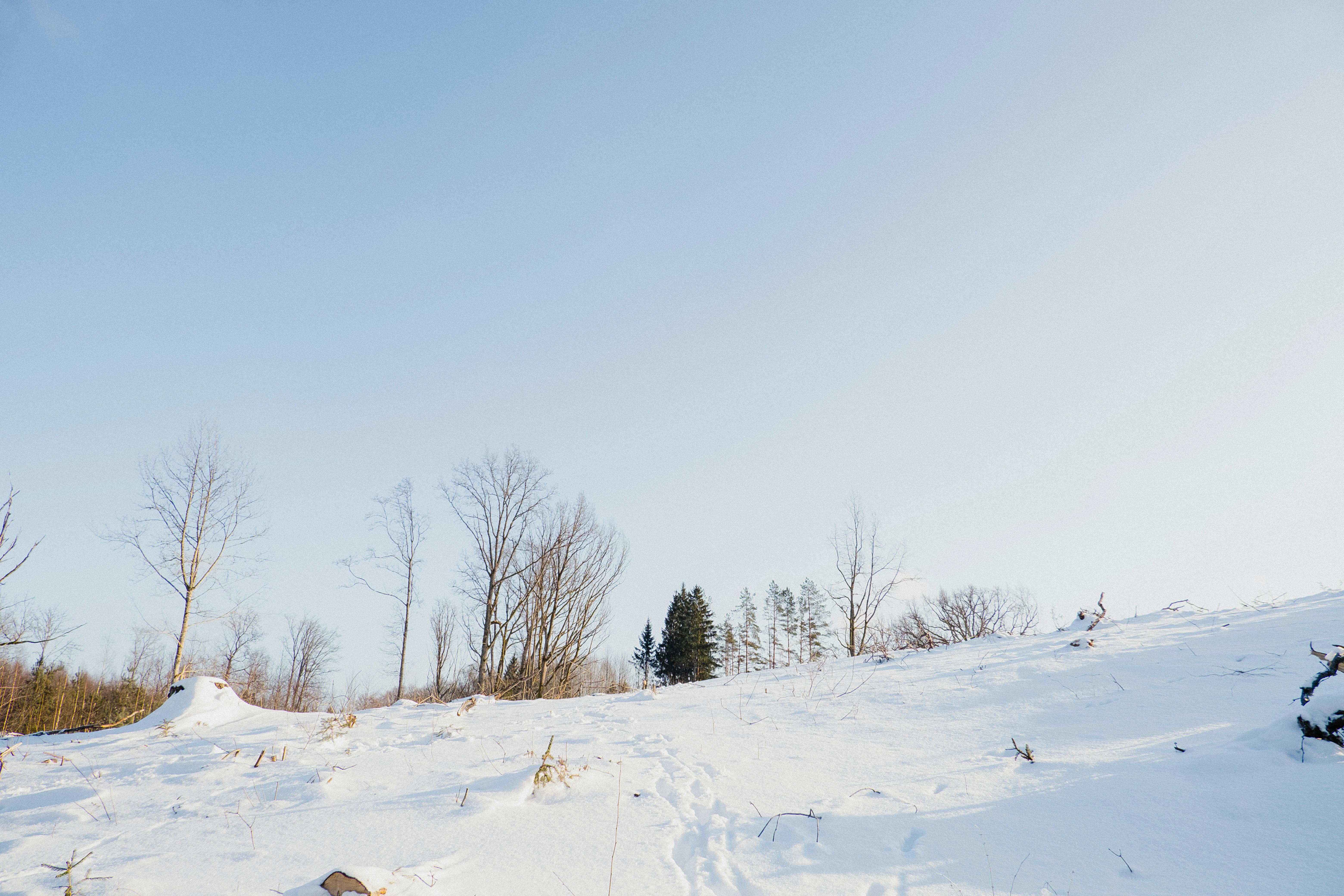 Δωρεάν Γαλήνια χιονισμένη πλαγιά με γυμνά δέντρα κάτω από τον καταγάλανο ουρανό, που αιχμαλωτίζει την ήρεμη ουσία του χειμώνα. Φωτογραφία από στοκ φωτογραφιών