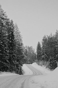 Quiet snowy road winding through a forest landscape during winter. Serene and peaceful.