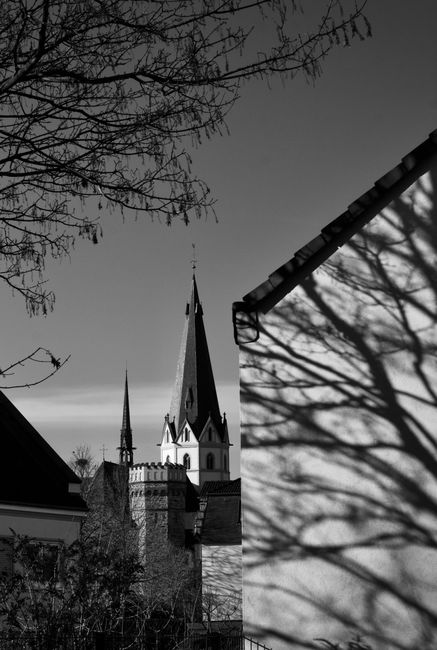 Gothic-style church spire silhouette with tree shadows.