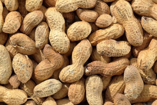 Saltede peanuts 1 kg
