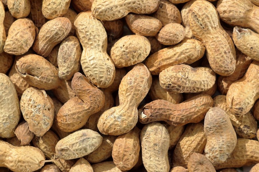 Saltede peanuts 1 kg