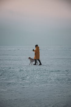 Person in yellow coat walking dog on frozen lake, wide landscape view.