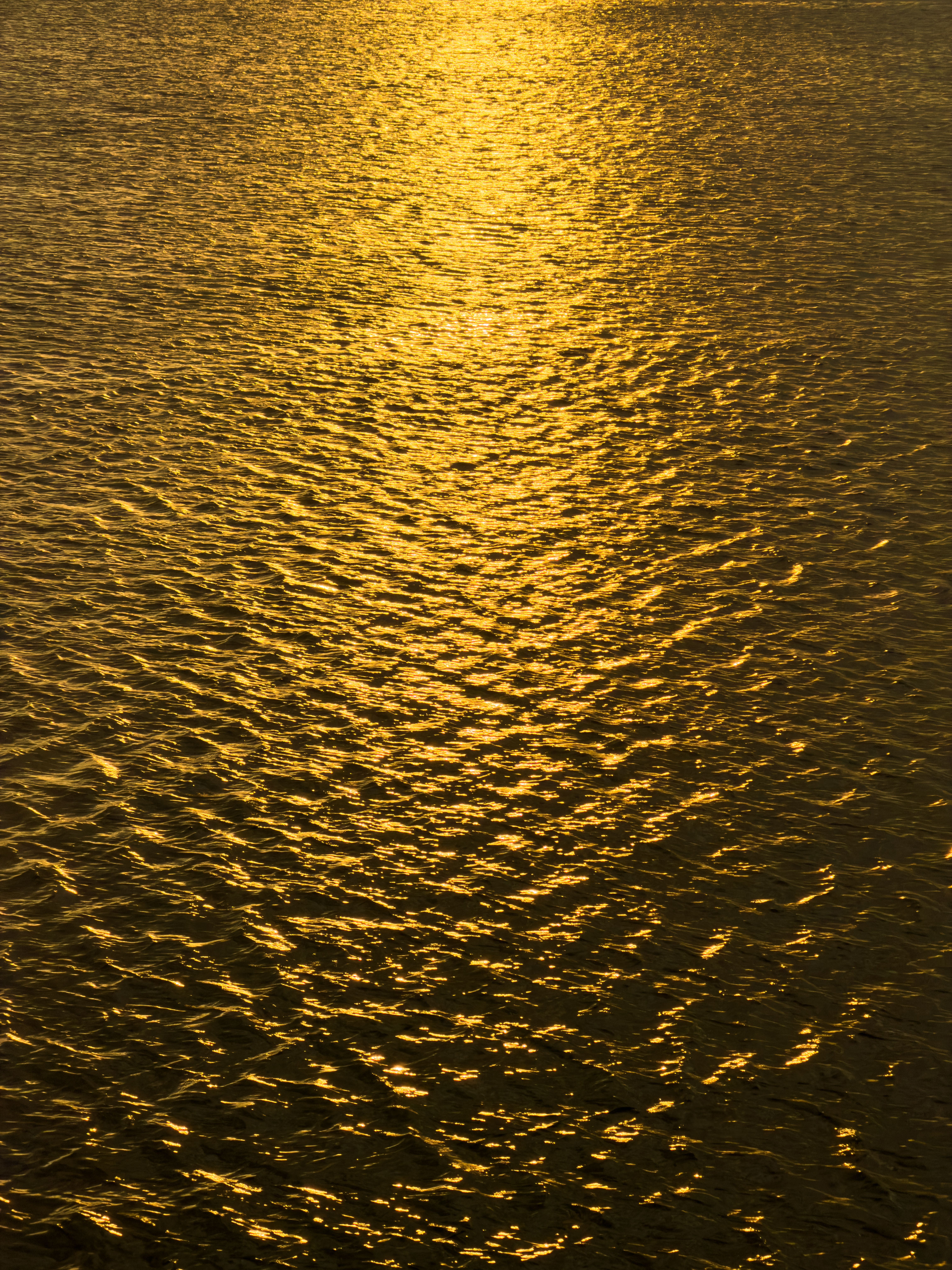 Golden Reflections on a Tranquil Water Surface · Free Stock Photo