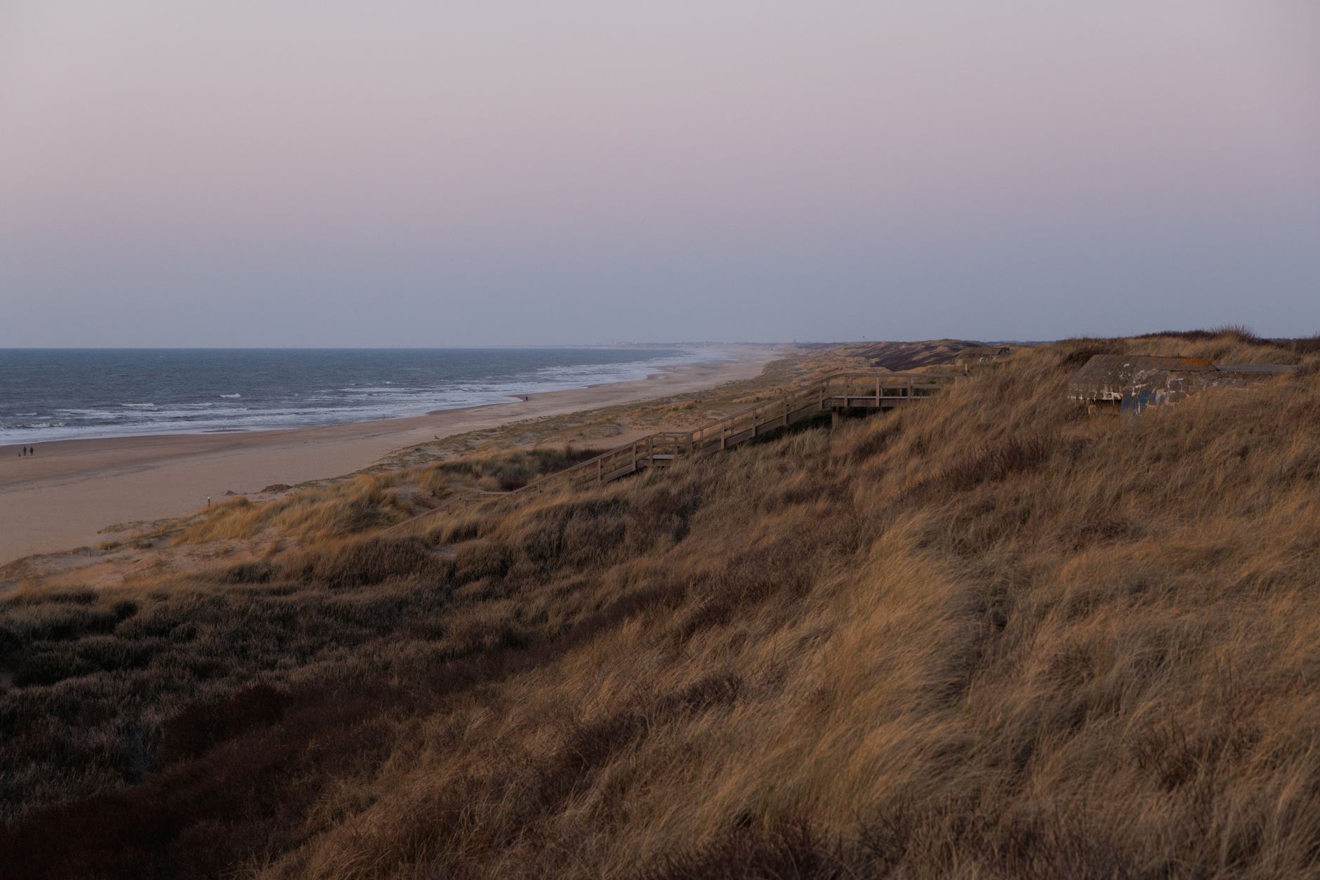 Peaceful view of coastal dunes and beach at sunset in The Hague, Netherlands.