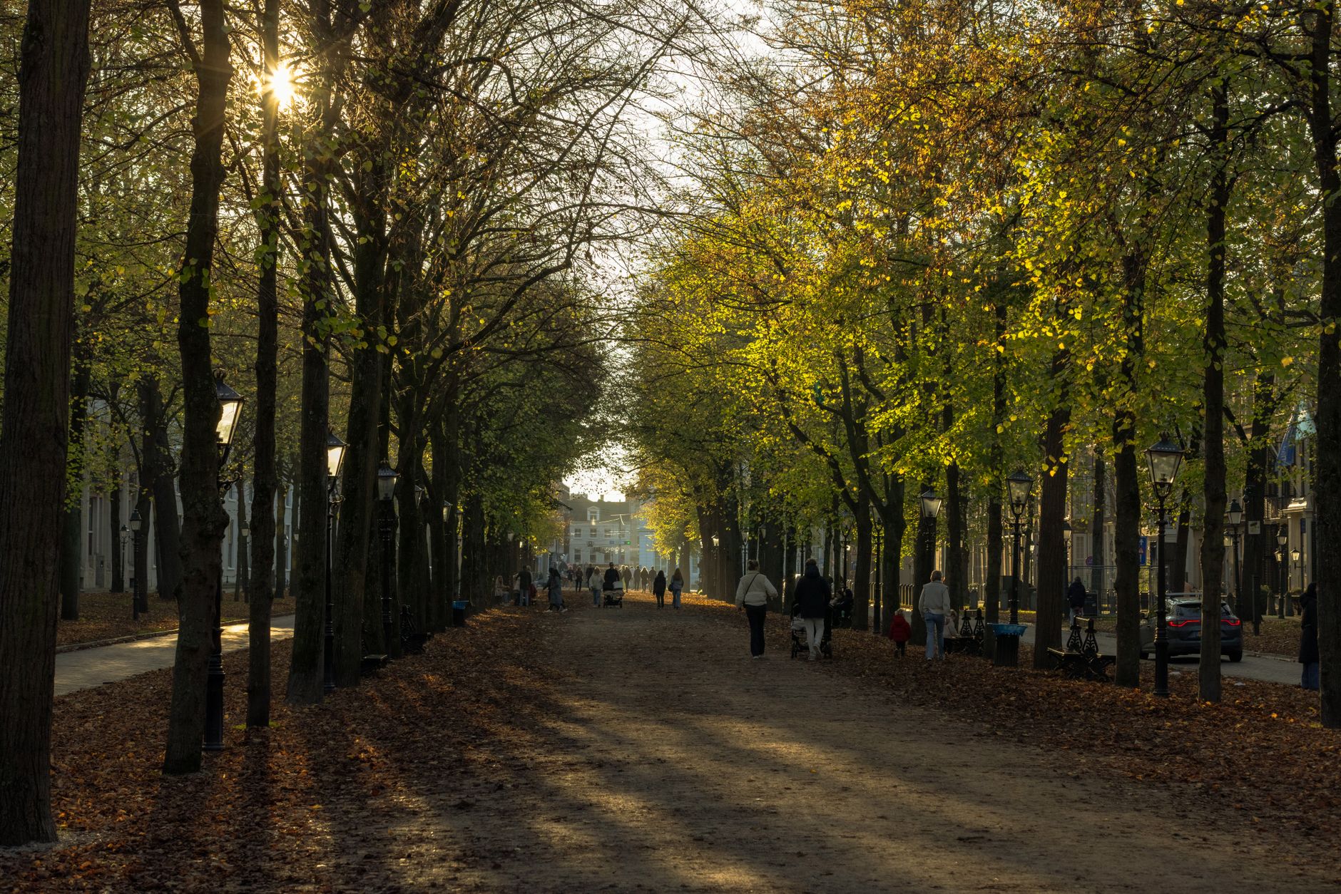 Hollanda'da sonbaharda güneşli bir park görüntüsü