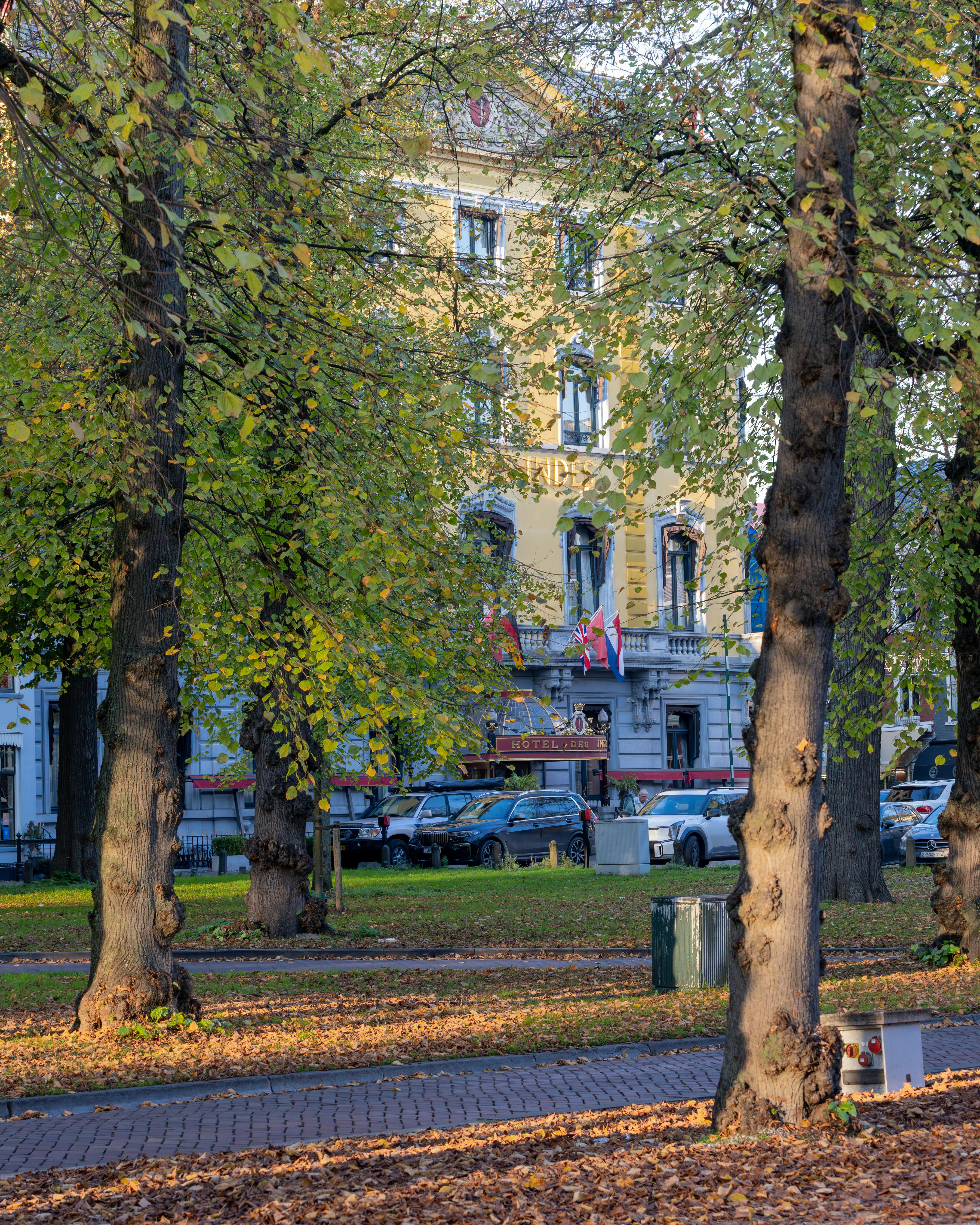 bezplatná Okouzlující podzimní scéna se stromy a historickou architekturou na ulici v Haagu v Nizozemsku. Základová fotografie