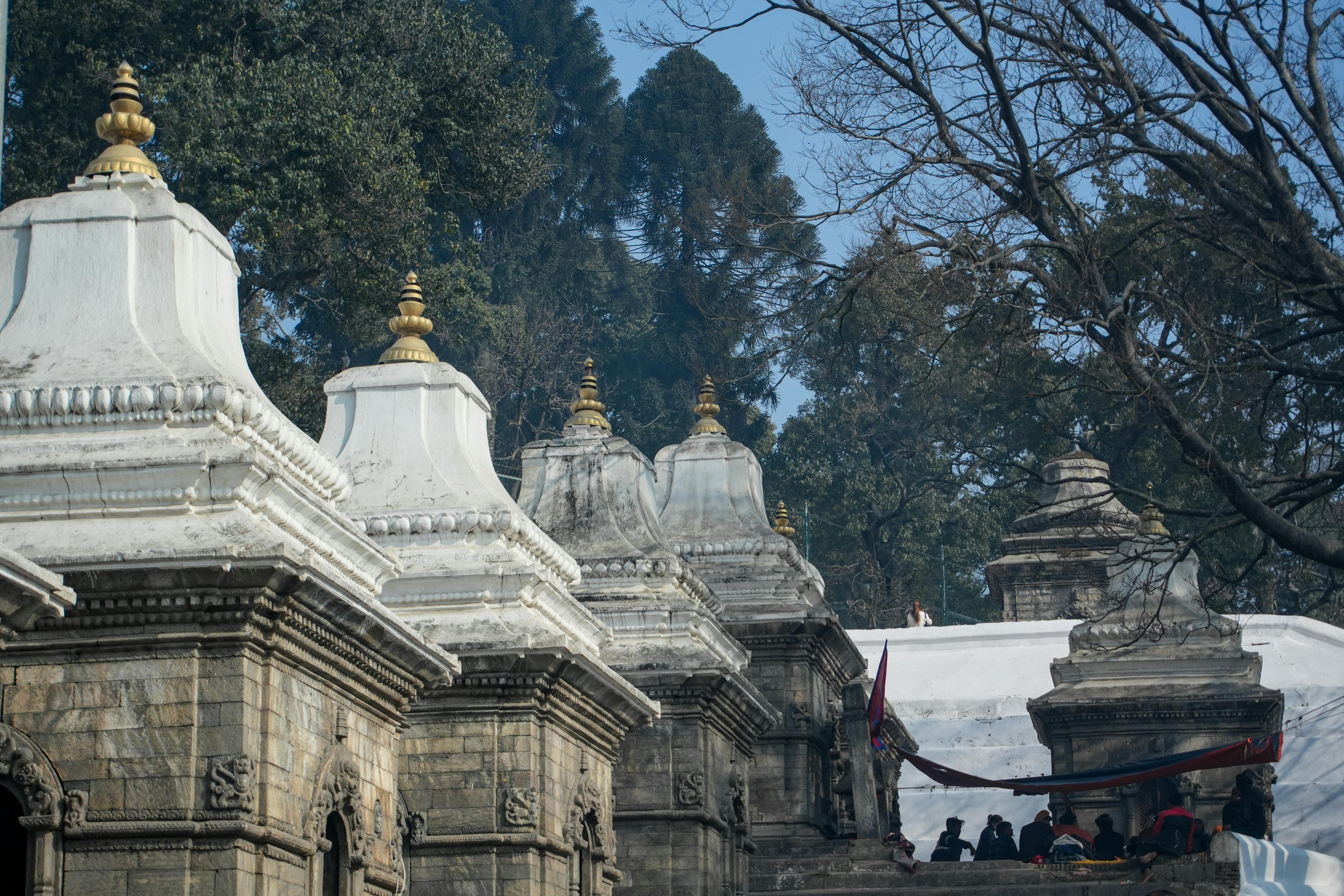 Δωρεάν Ένας αρχαίος ναός με περίπλοκη αρχιτεκτονική που περιβάλλεται από πυκνά δάση. Φωτογραφία από στοκ φωτογραφιών