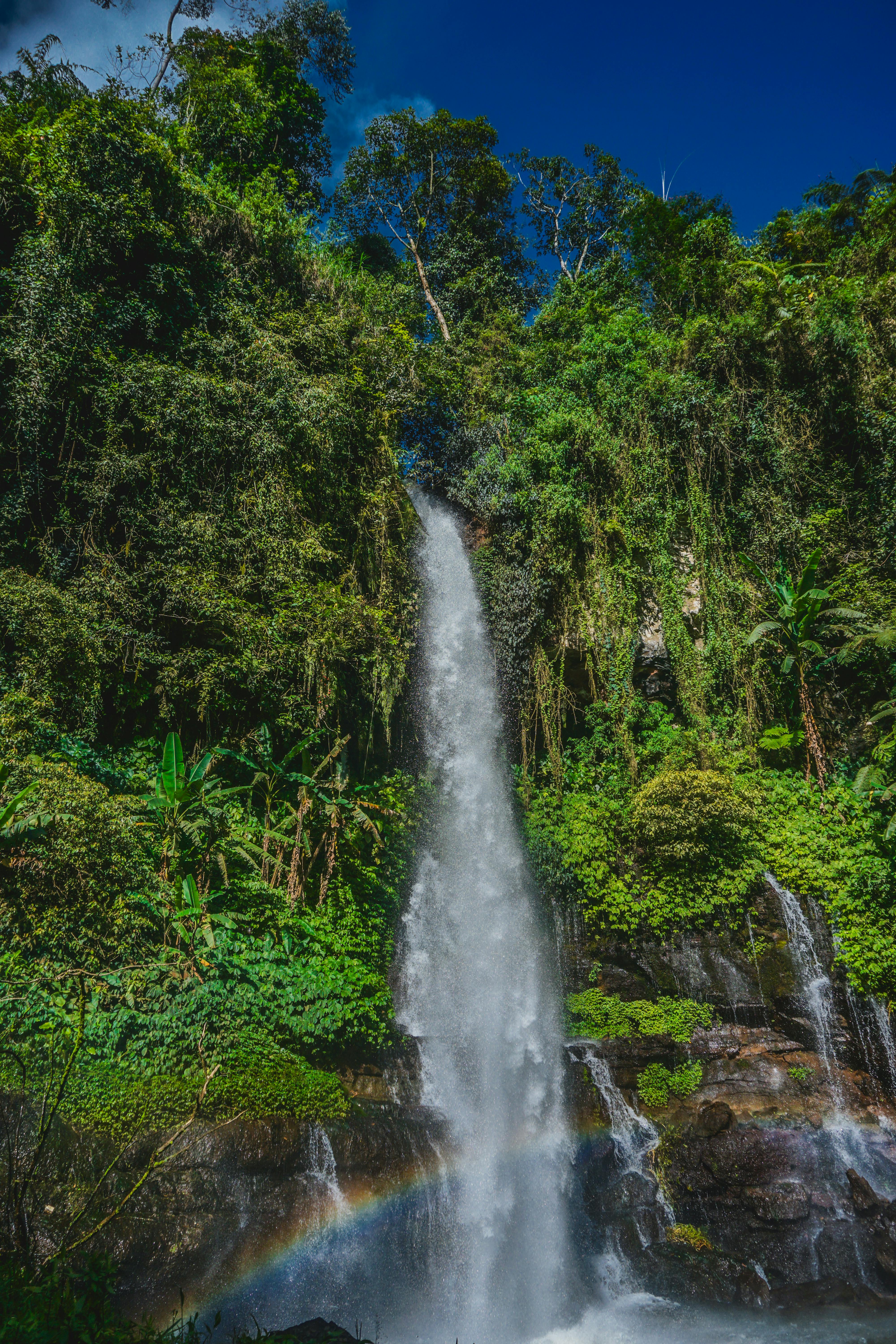 Δωρεάν Μια εκπληκτική θέα ενός καταρράκτη που κυλάει μέσα από ένα ζωντανό καταπράσινο δάσος, με ένα ουράνιο τόξο στη βάση του. Φωτογραφία από στοκ φωτογραφιών
