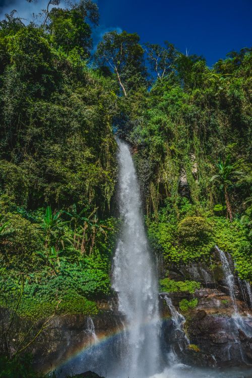 Free A breathtaking view of a waterfall cascading through a vibrant green forest, featuring a rainbow at its base. Stock Photo