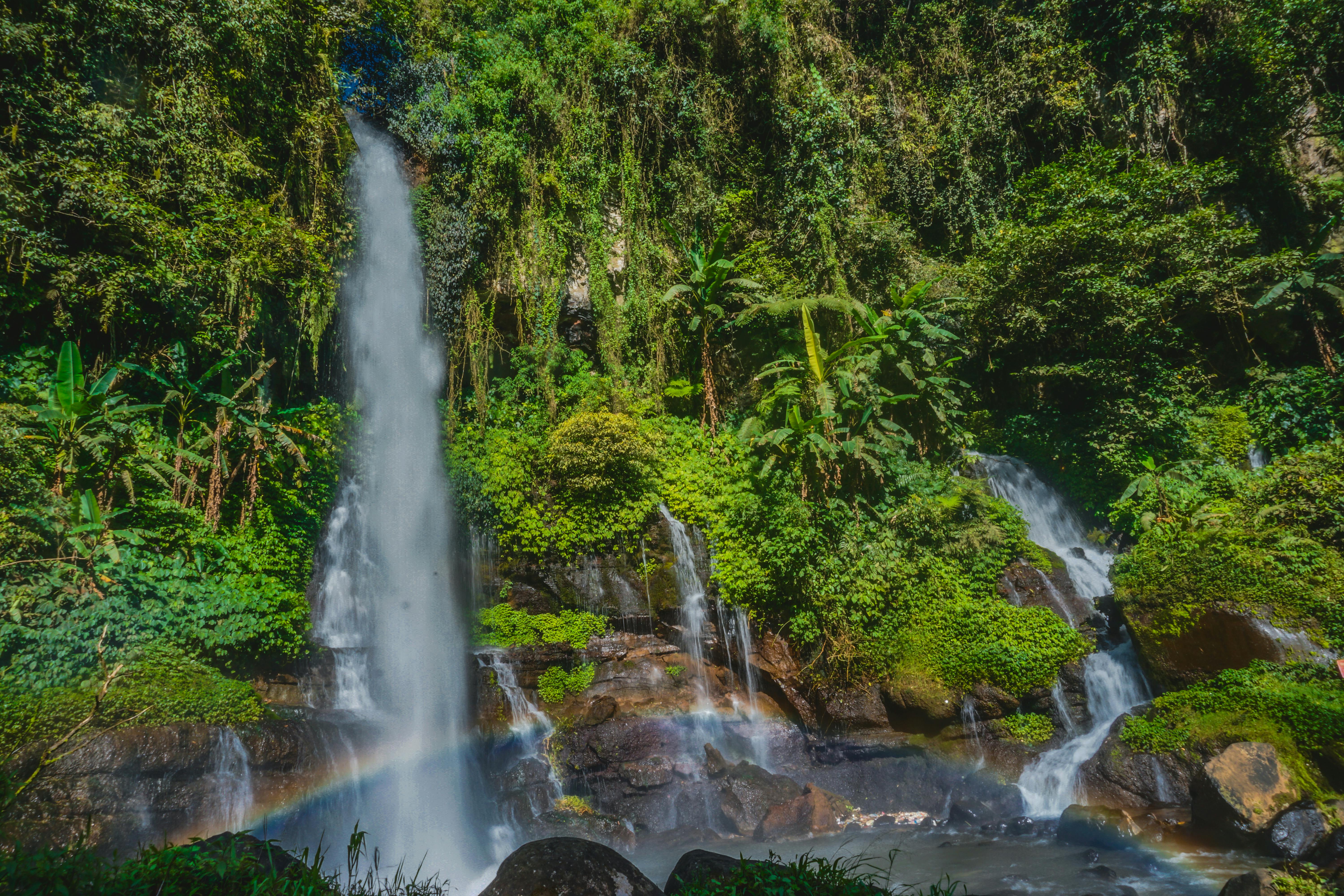 gratis Een adembenemend uitzicht op een weelderige tropische waterval met een levendige regenboog te midden van dicht groen. Stockfoto