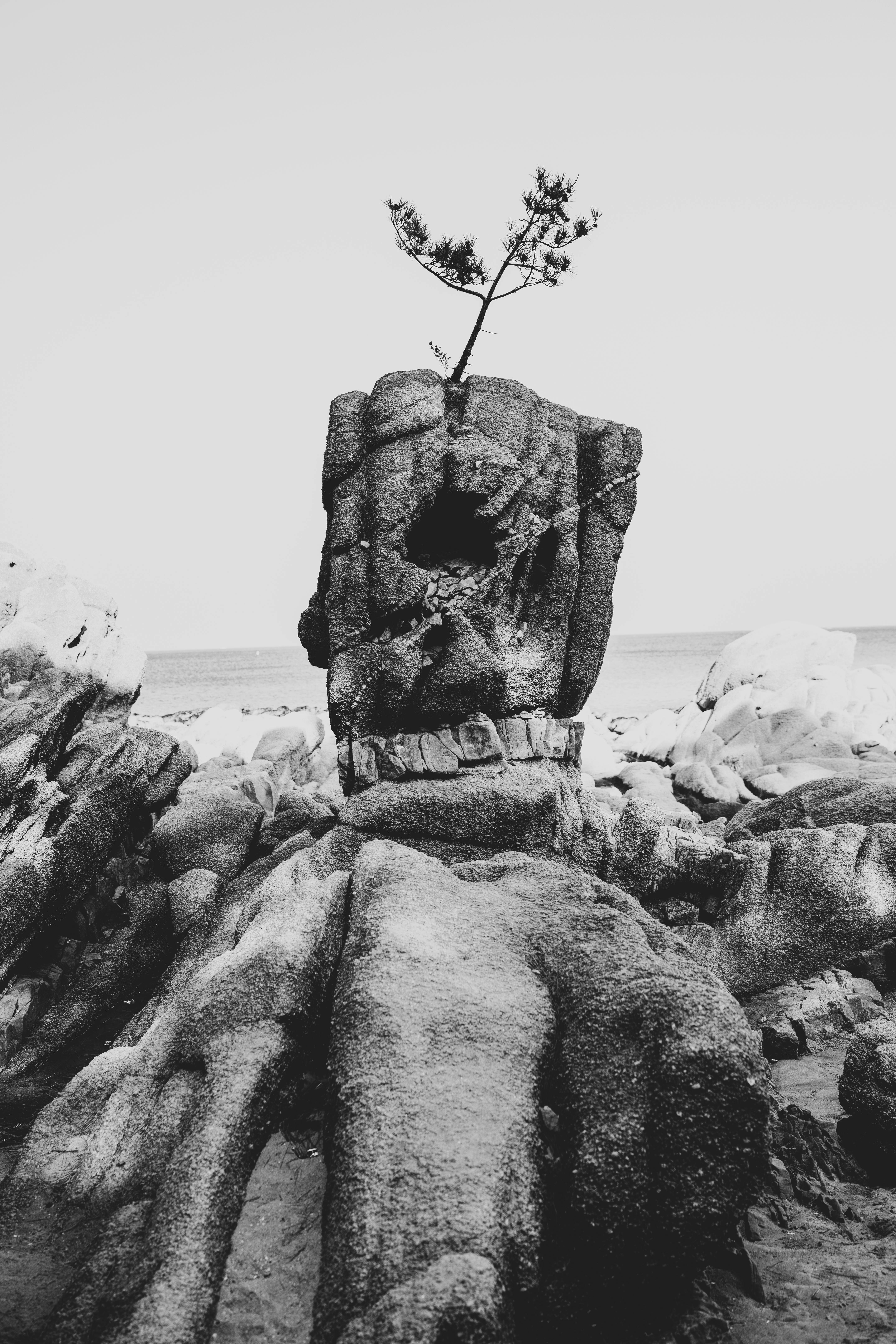 Free Dramatic black and white photo of a unique sea rock formation with a lone tree atop. Stock Photo