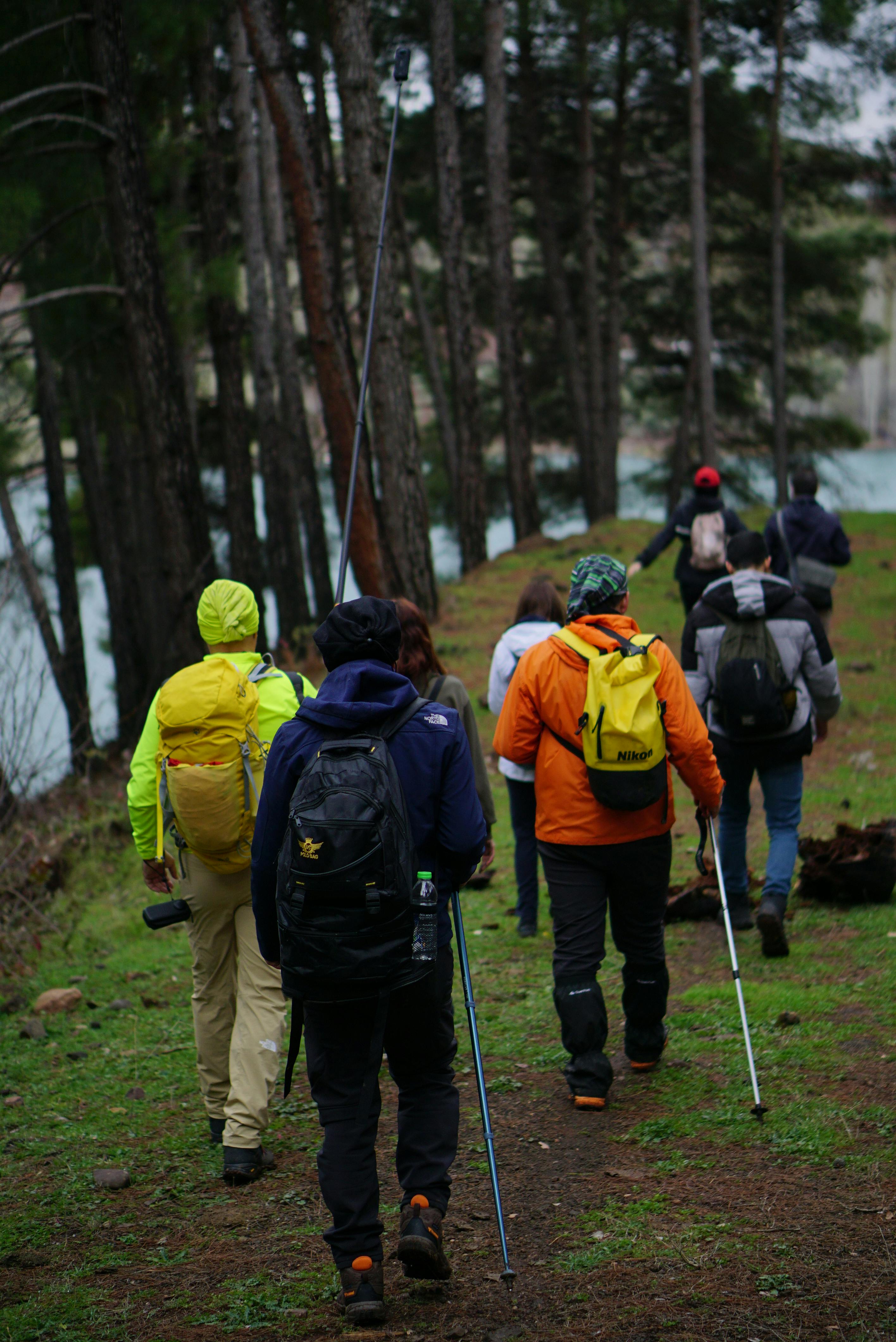 Gratuit Un grup de excursioniști explorează pădurile luxuriante din Kahramanmaraş, Turcia. Fotografie de stoc