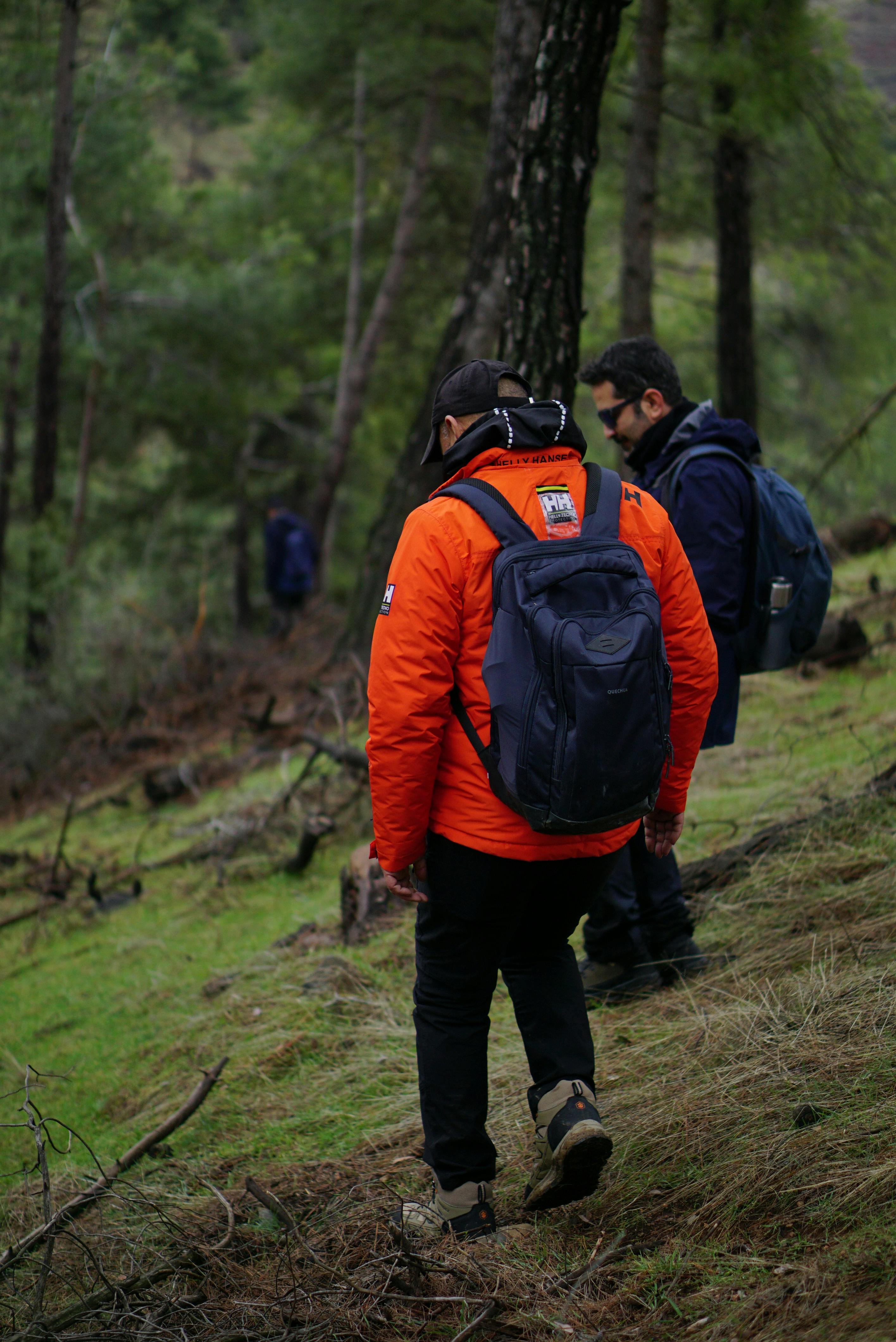 Δωρεάν Ομάδα πεζοπόρους που πεζοπορούν σε μια καταπράσινη, δασώδη περιοχή στο Kahramanmaraş, Τουρκία. Φωτογραφία από στοκ φωτογραφιών