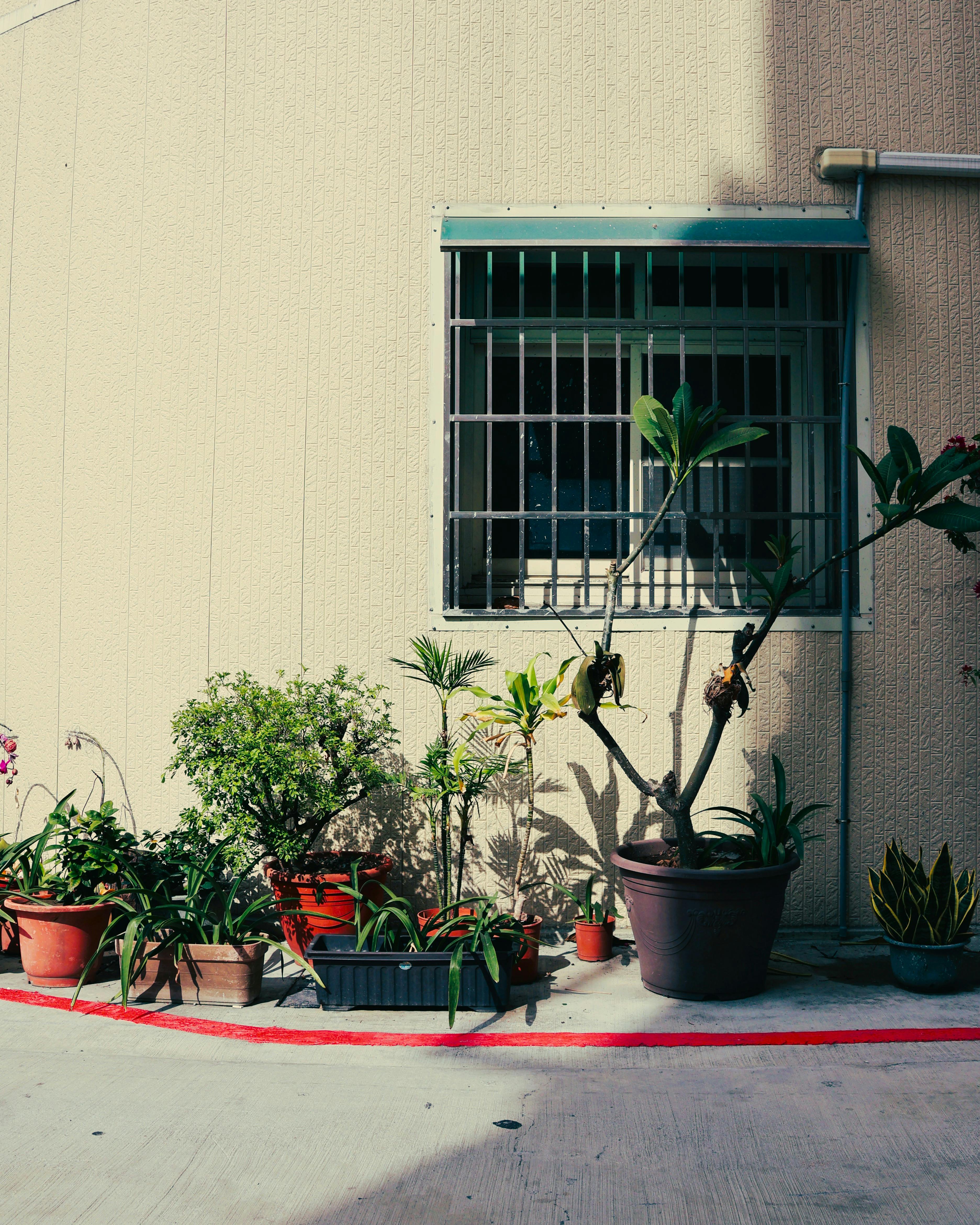 Gratuit O colecție de plante în ghiveci în fața unei ferestre cu gratii din Taiwan, surprinzând verdeața urbană. Fotografie de stoc