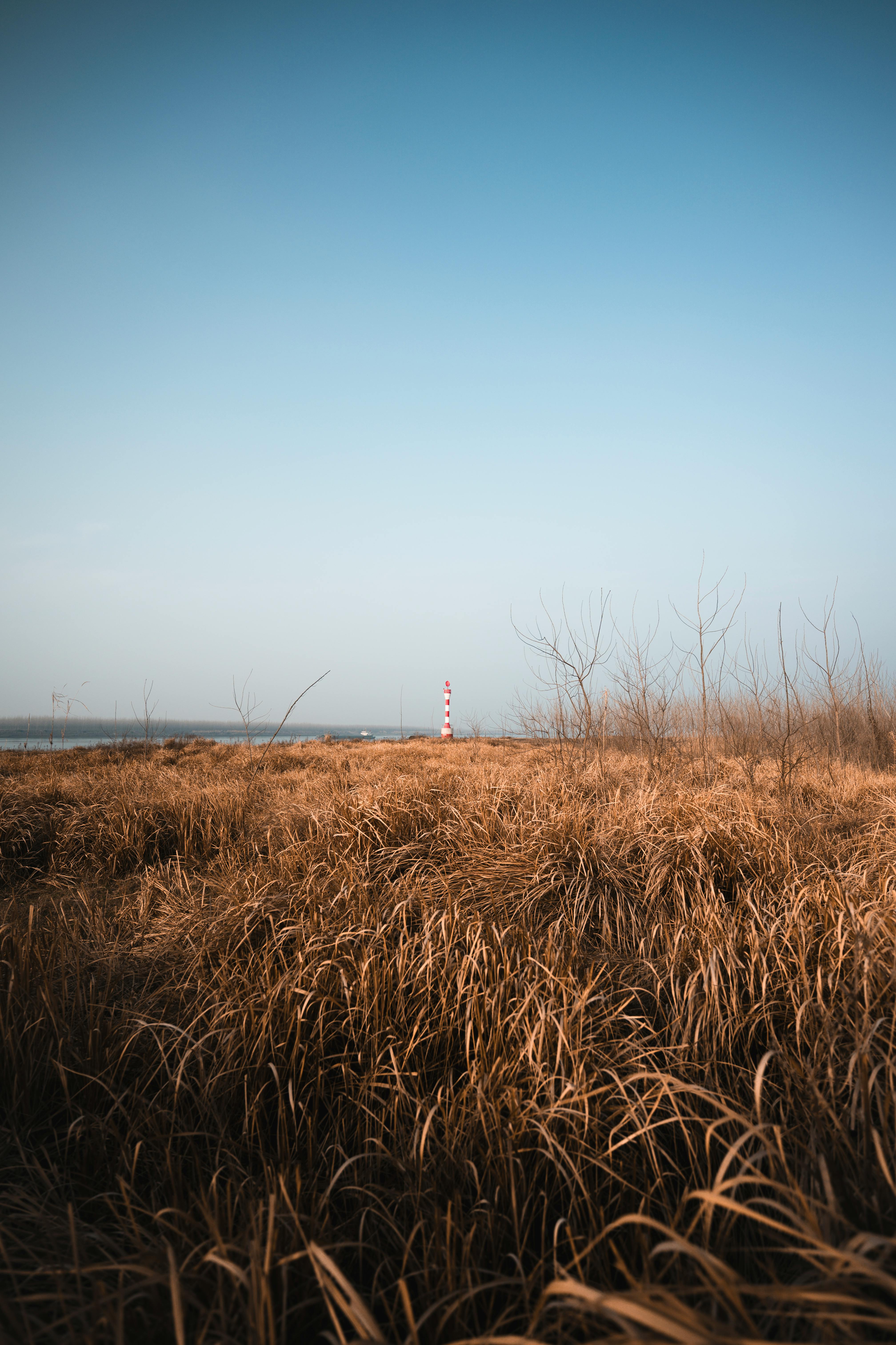 gratis Rustig landschap met dor gras en een vuurtoren in de verte onder een helderblauwe hemel. Stockfoto