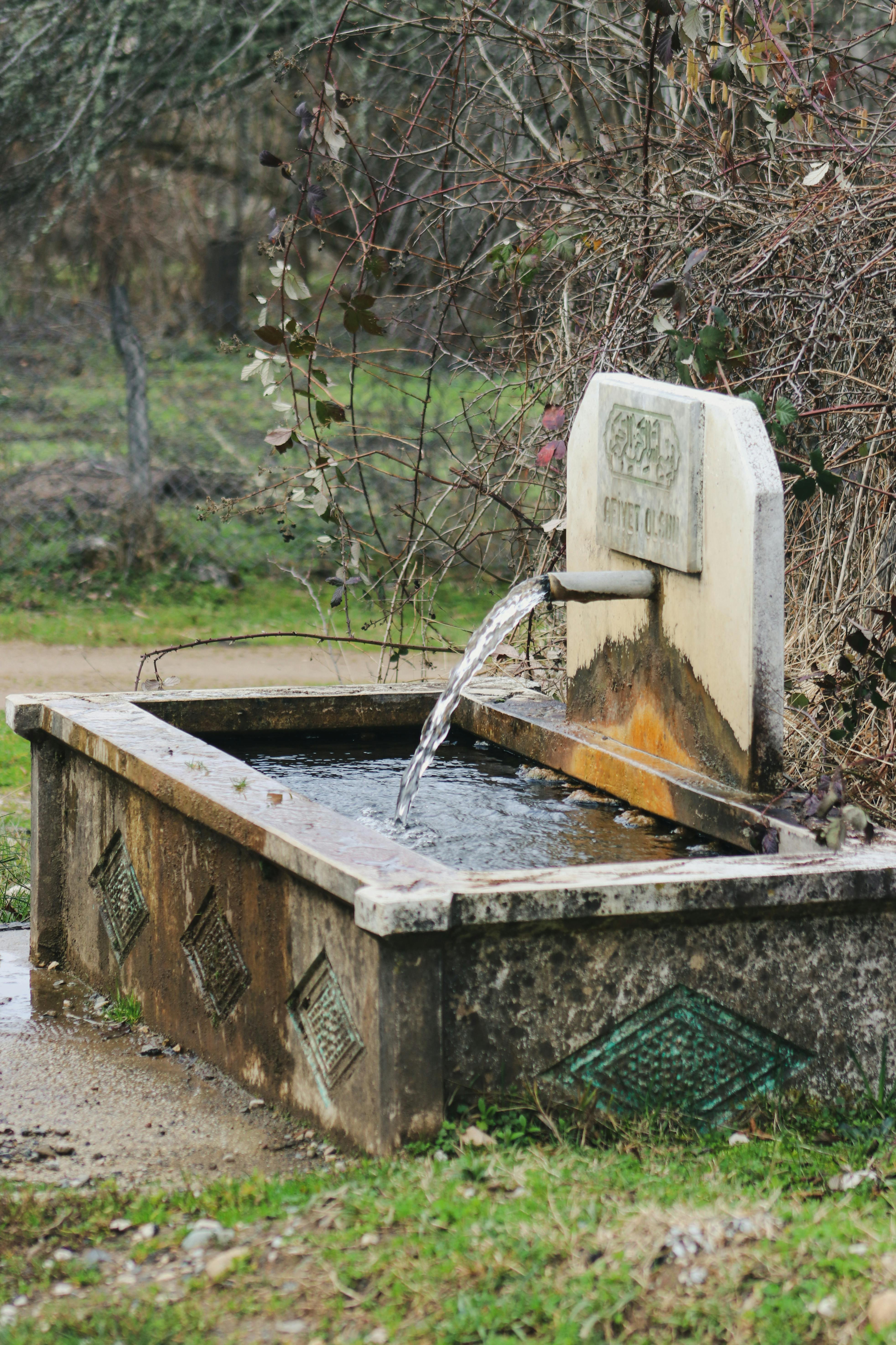 gratis Een antieke stenen fontein met stromend water in een serene buitenomgeving. Stockfoto