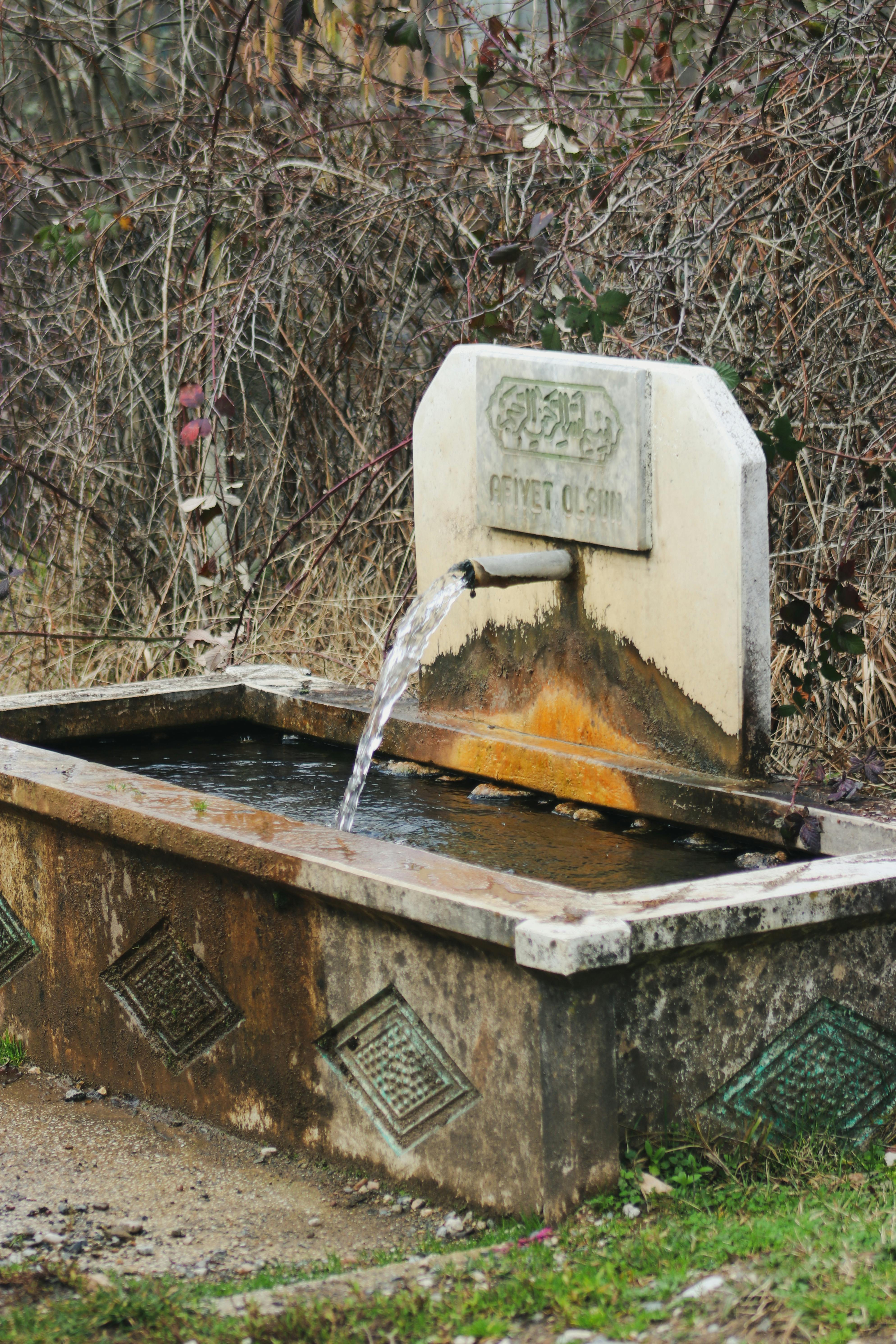 Old stone fountain pouring water outdoors, surrounded by natural vegetation.