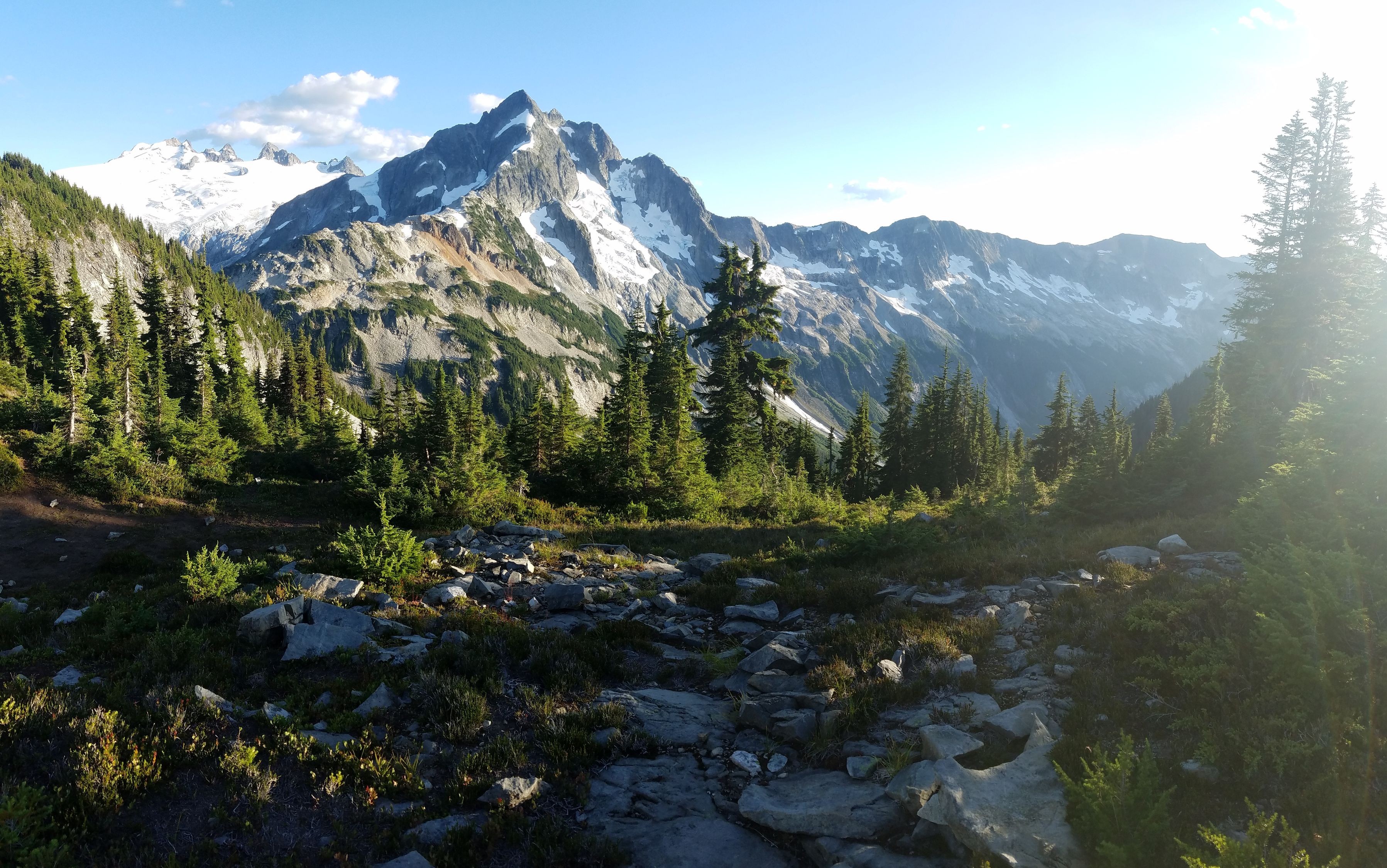Green Forest Near Mountain Range Under Clear Sky Free Stock Photo green-forest-near-mountain-range-under-clear-sky-free-stock-photo