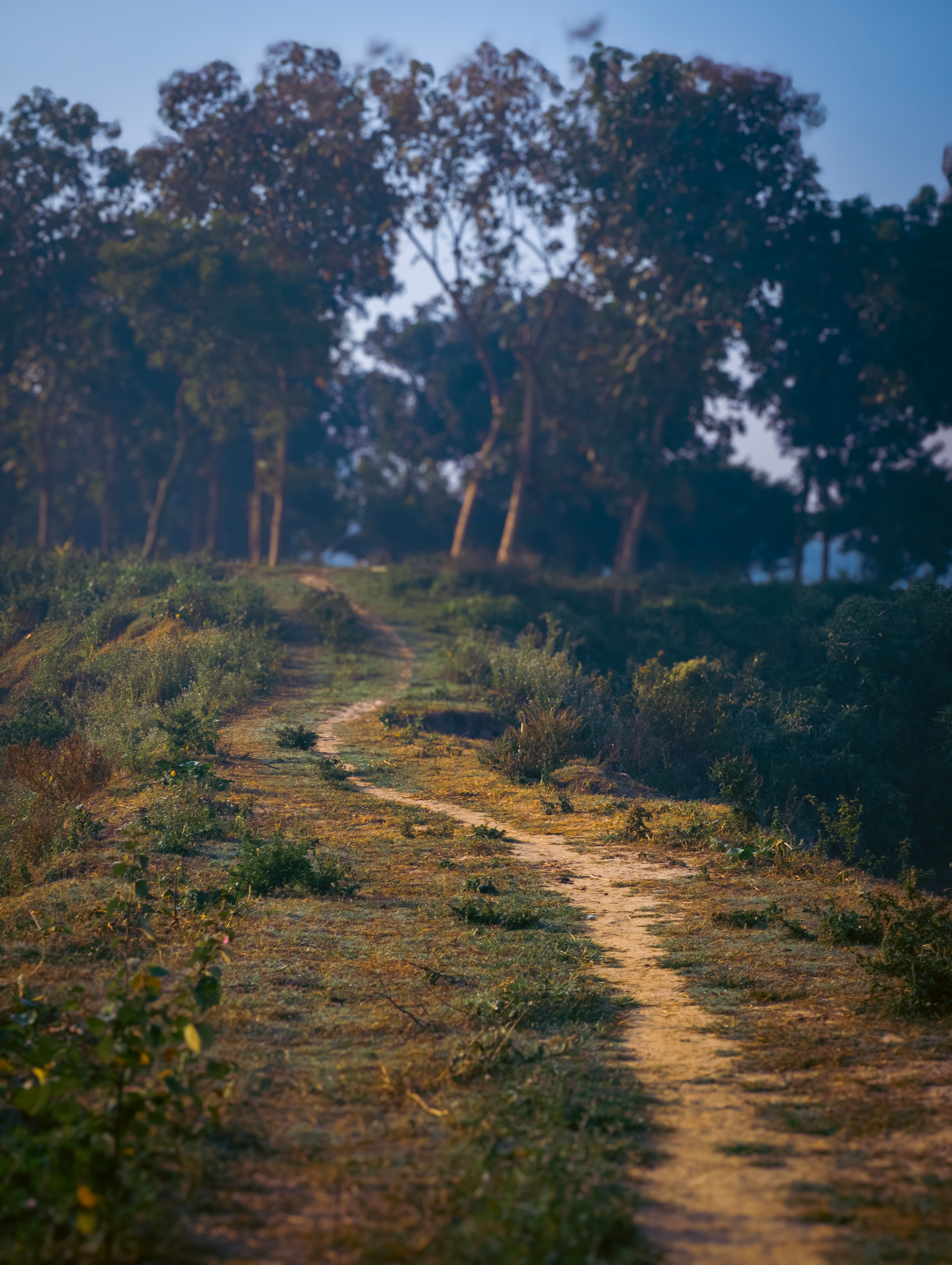 Path Photos, Download The BEST Free Path Stock Photos & HD Images