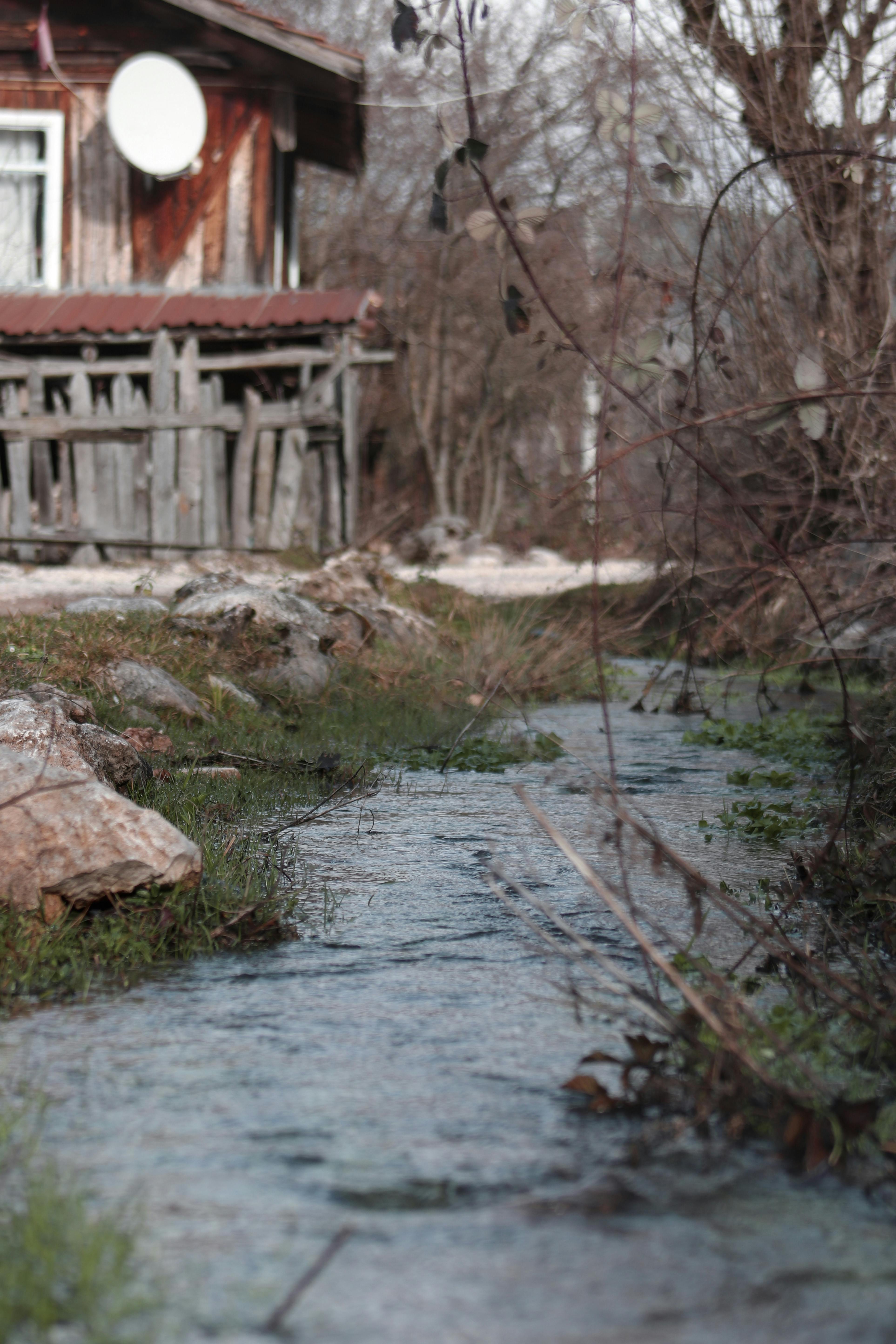 De franc Una escena tranquil·la que presenta una antiga cabana de fusta al costat d'un rierol tranquil envoltada de fullatge de tardor. Foto d'estoc