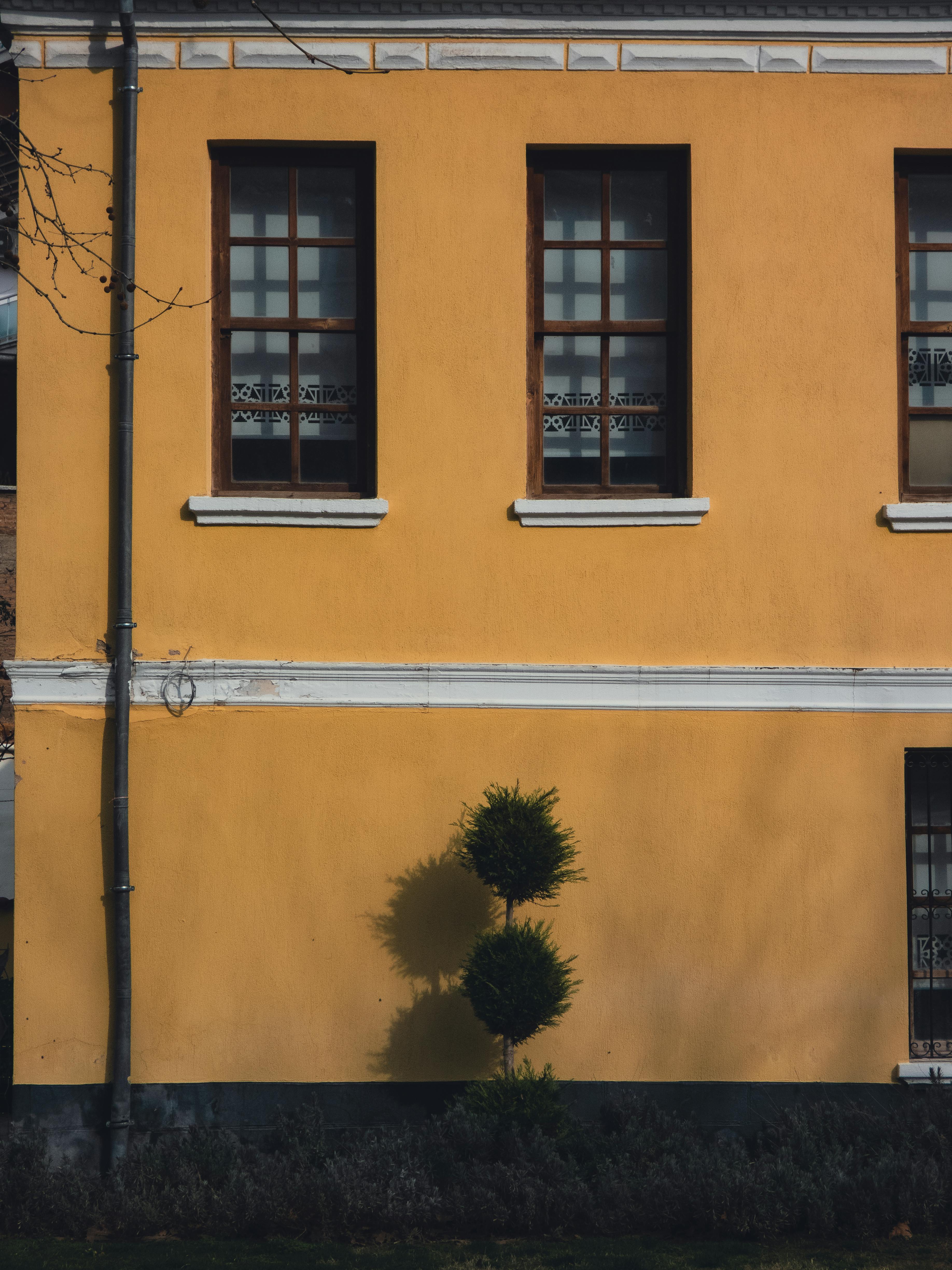 Gratuit Charmante façade jaune avec trois fenêtres et un arbre soigneusement taillé qui projette son ombre. Photos