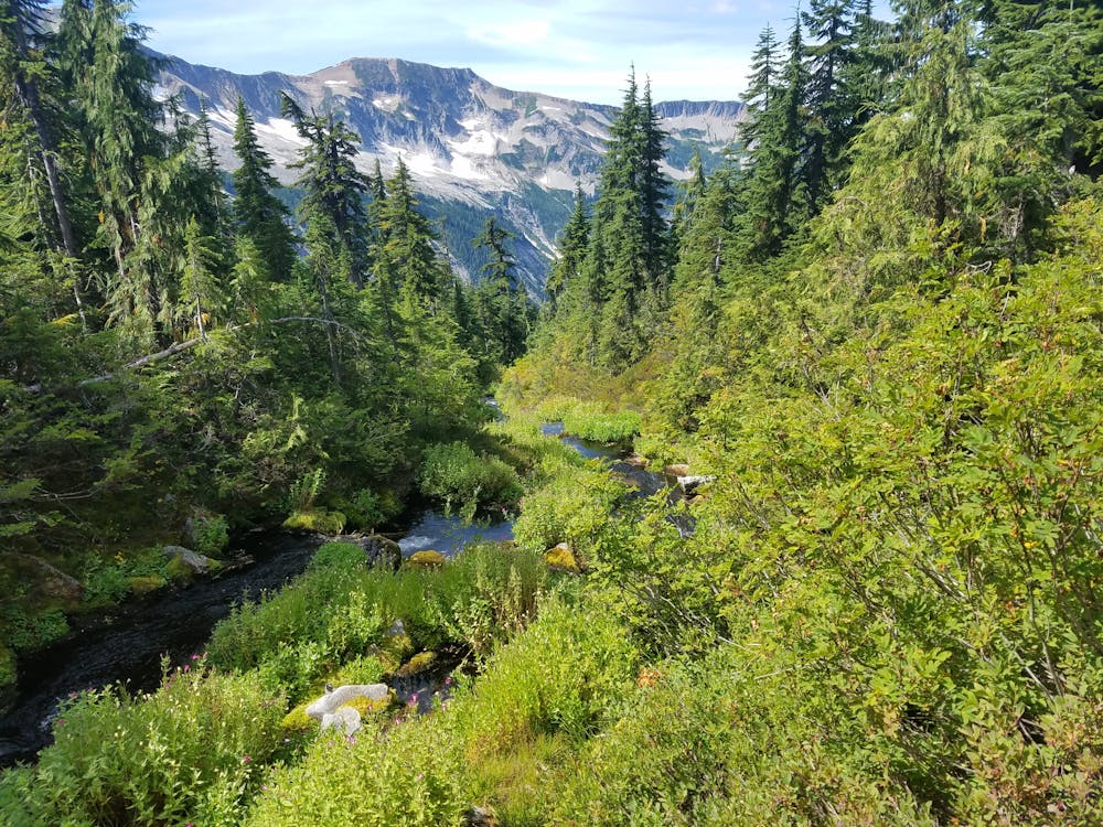 Gorge Creek Falls waterfall