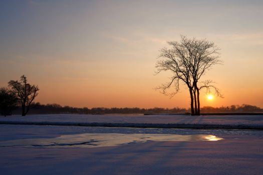 Tranquil sunset with trees silhouetted against a snowy winter landscape.