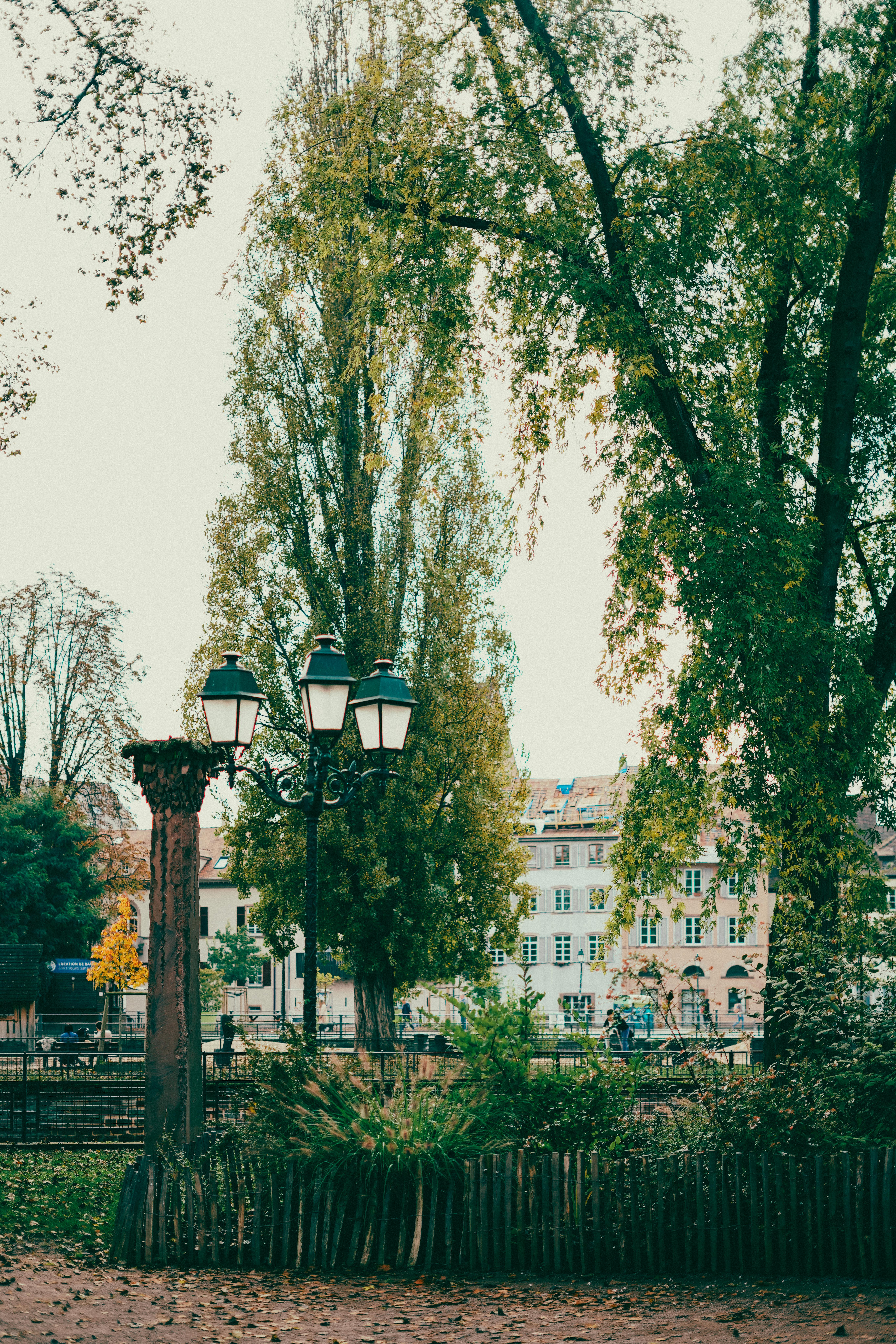 Gratis Pemandangan musim gugur yang menawan di taman Strasbourg dengan pepohonan dan lampu-lampu antik. Foto Stok