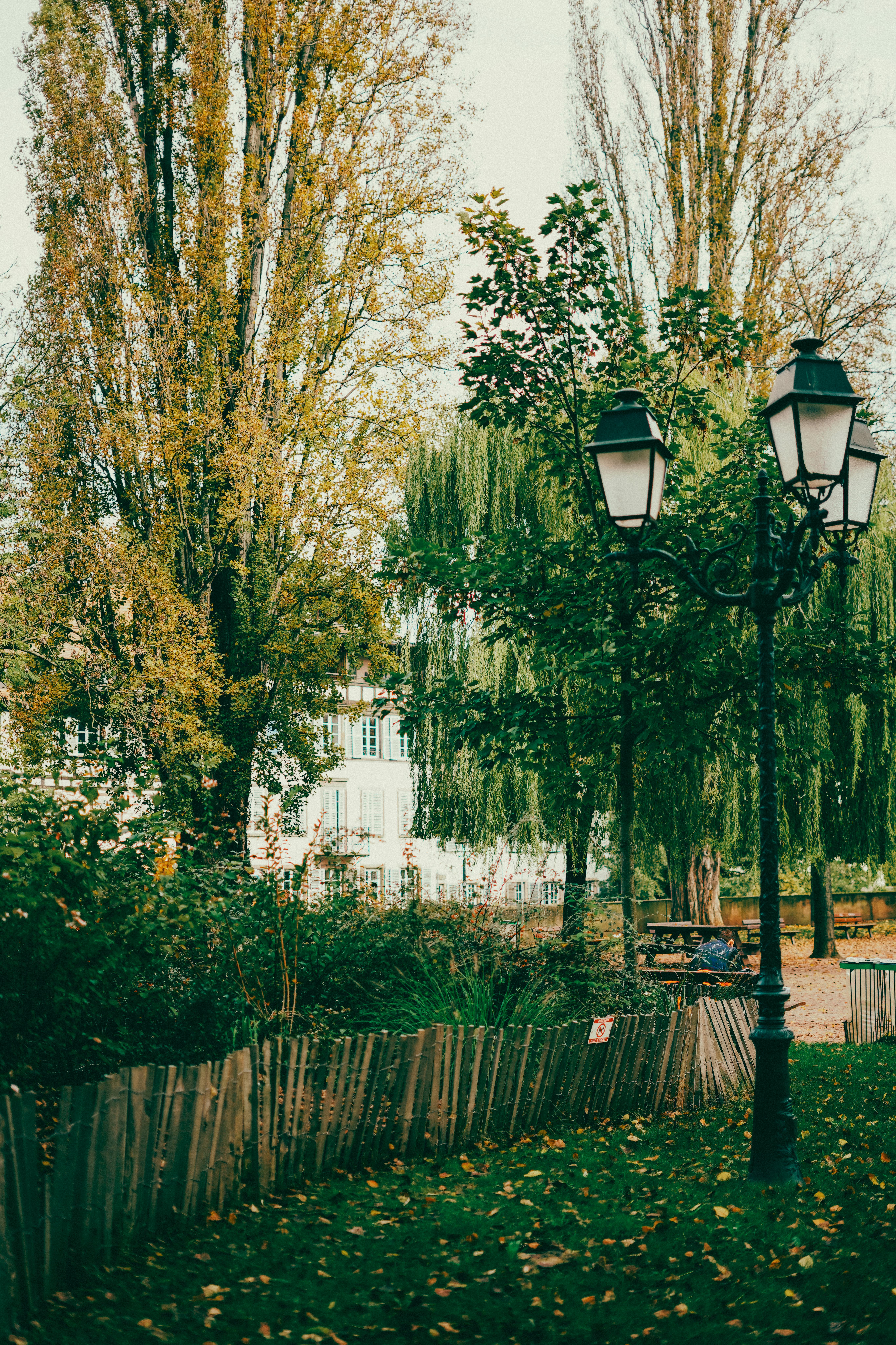 Ücretsiz Strasbourg'daki bir parkta, yemyeşil ağaçlar ve klasik bir sokak lambasıyla, sonbaharın en güzel manzarası. Stok Fotoğraflar