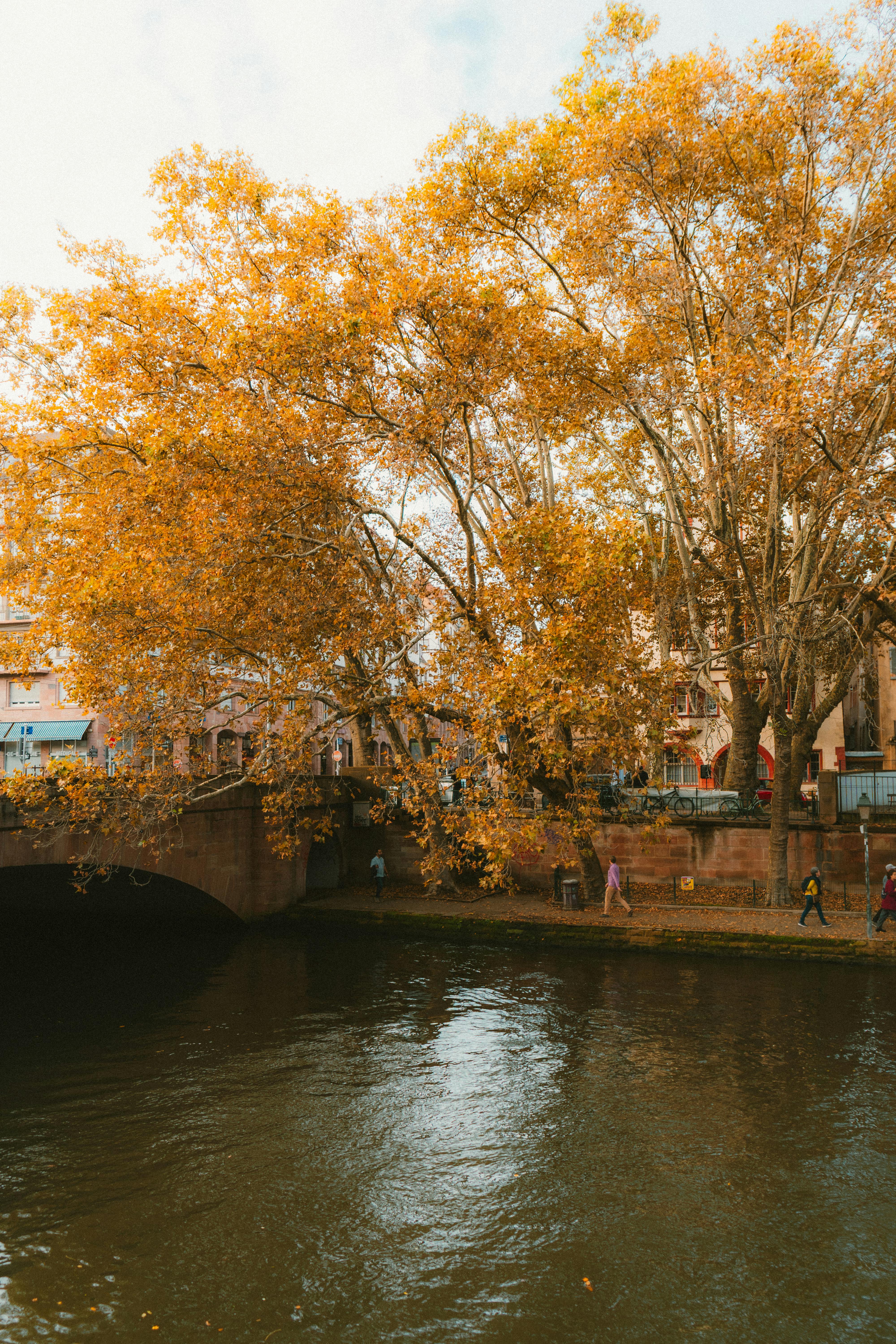 Gratis Pemandangan musim gugur yang menawan di Strasbourg, Prancis, dengan dedaunan yang berwarna cerah di atas sungai. Foto Stok