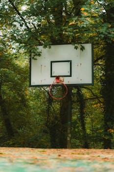 Rusty basketball hoop set against a vibrant autumn forest backdrop in Karlsruhe, Germany.