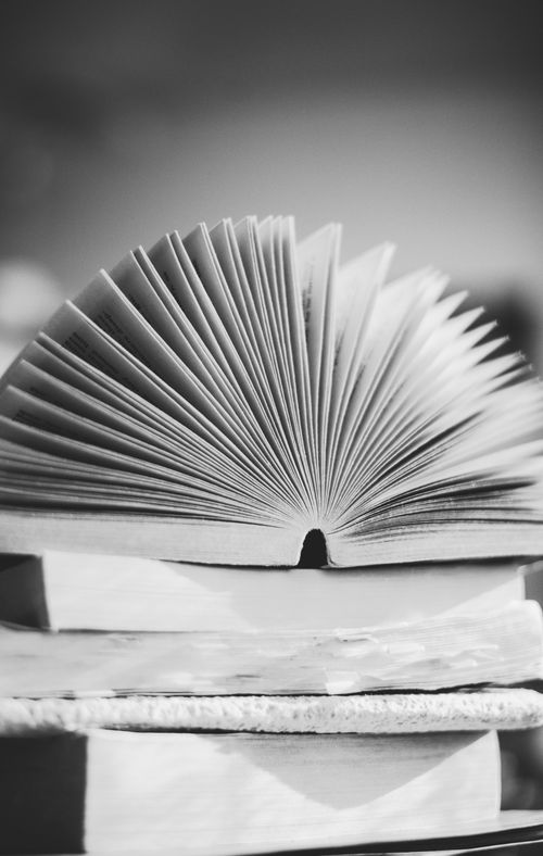 Free Artistic black and white photo of an open book with pages fanned out, showcasing reading fascination. Stock Photo