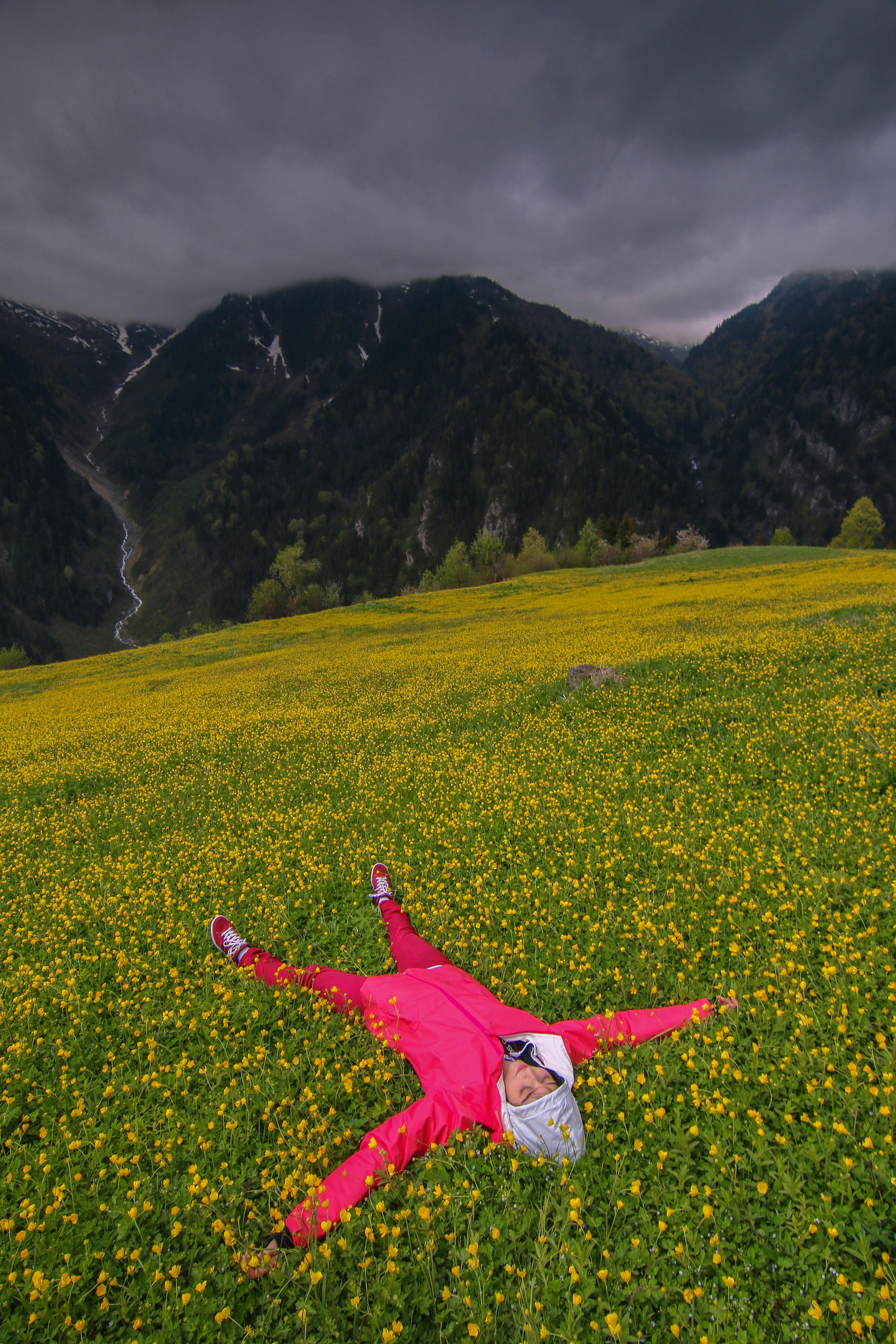 ingyenes Rózsaszín ruhás férfi pihen egy élénk sárga virágmezőn Rizében, Törökországban, drámai hegyek hátterében. Stockfotó