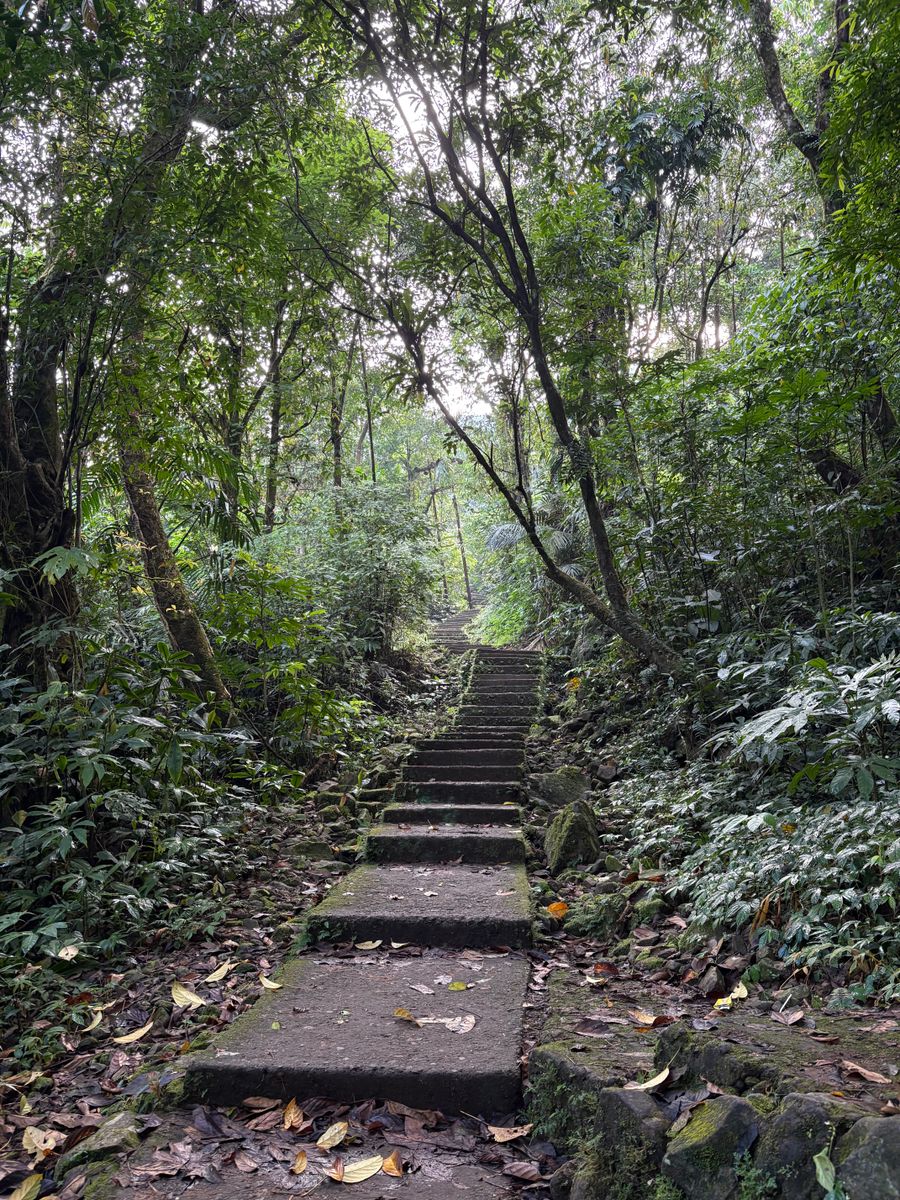 Mawsynram & Nongriat Root Bridges photo 6