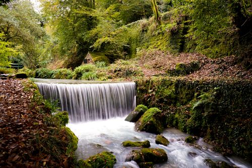 Free A tranquil waterfall cascades in a vibrant autumn forest, surrounded by dense greenery and fallen leaves. Stock Photo